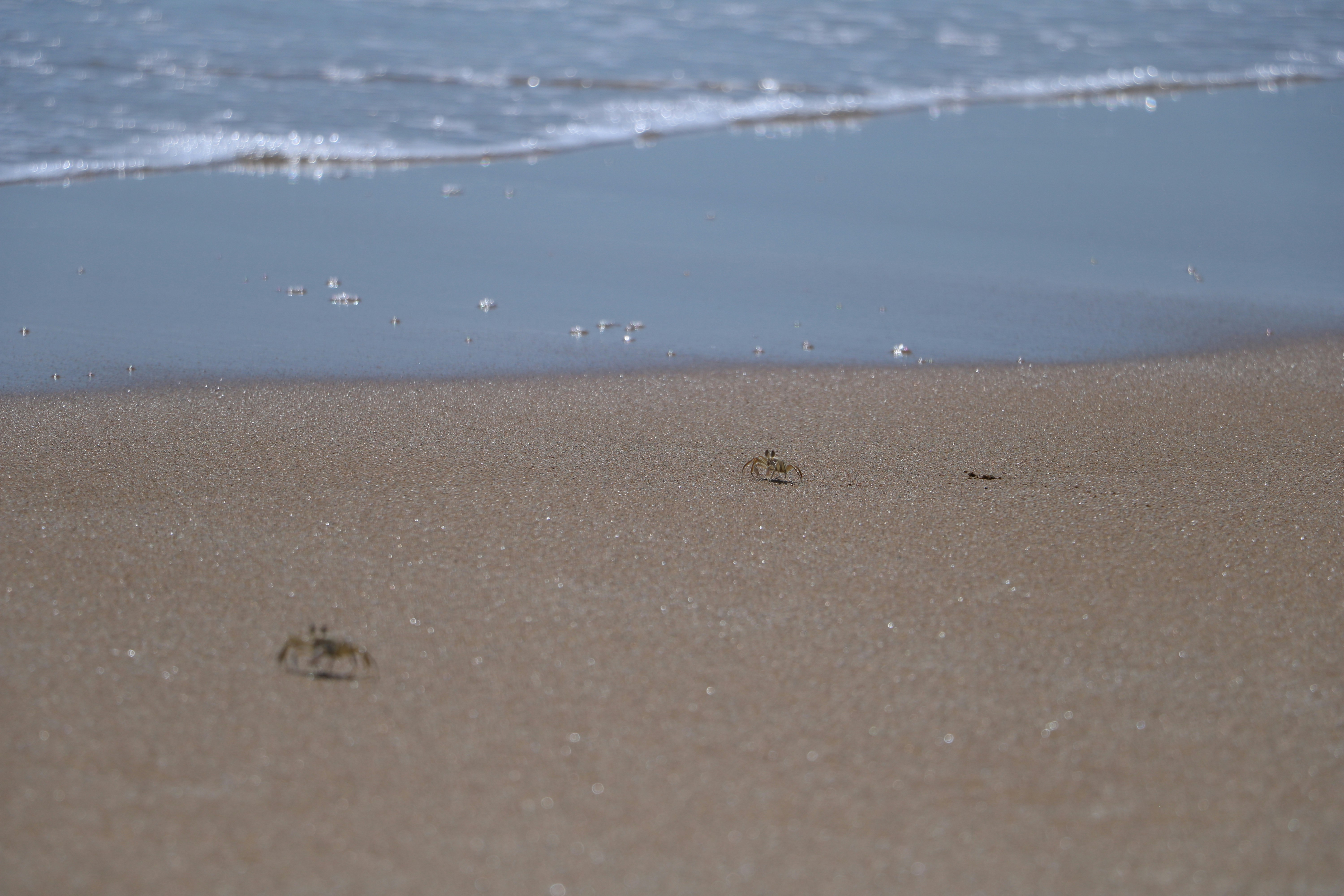 Photo by shirin1989h