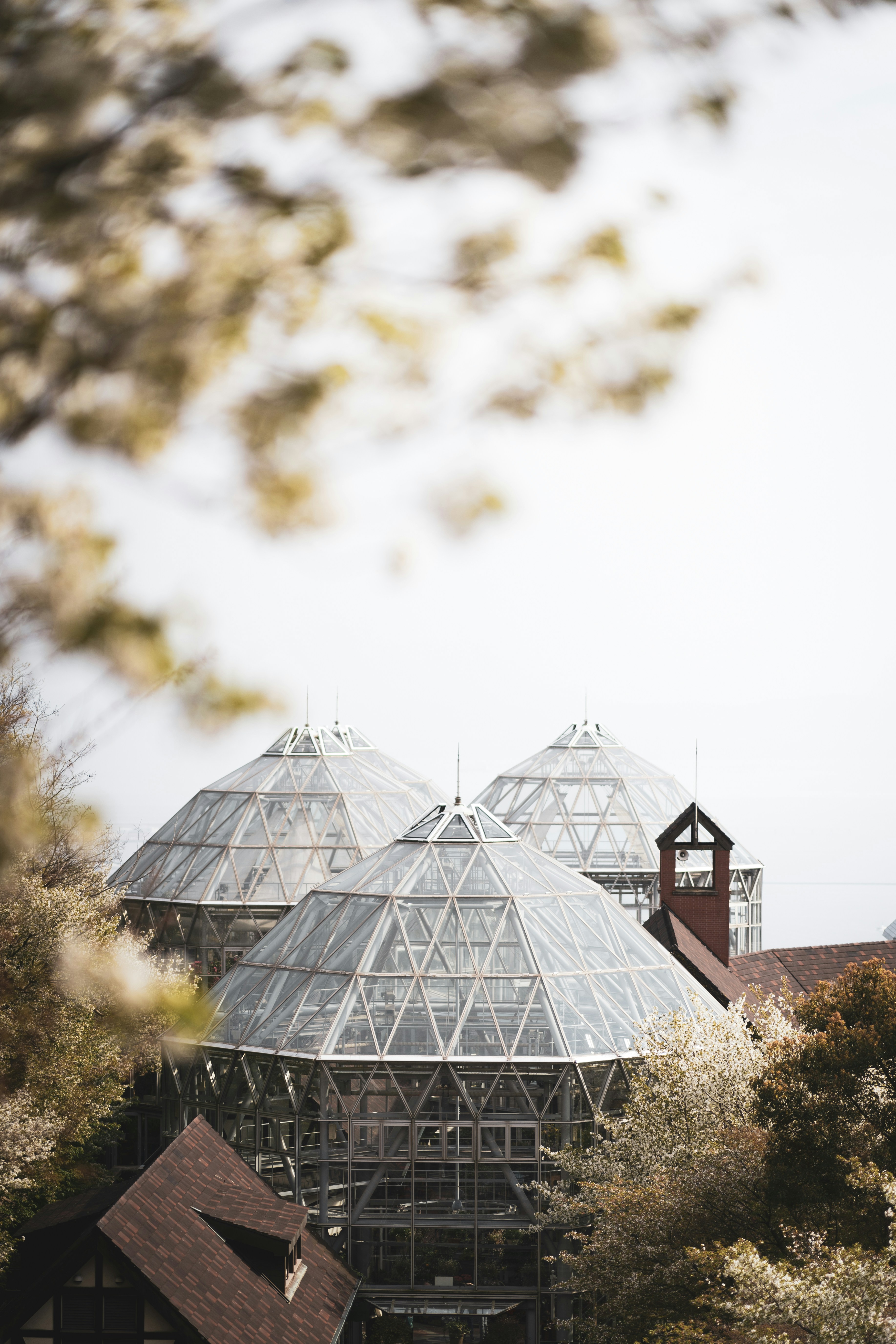 Photo by fabianbaechli