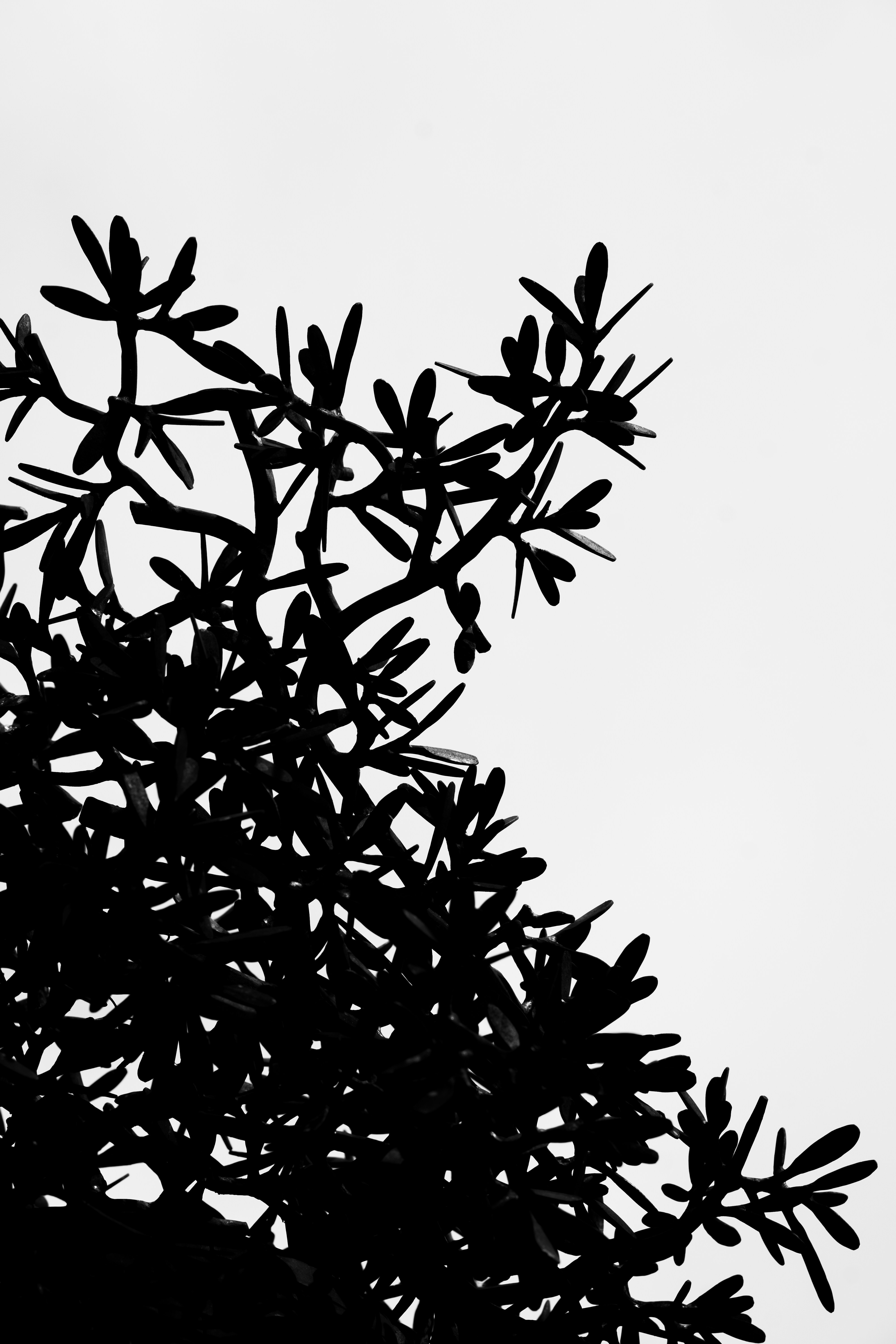 Photo by fabianbaechli