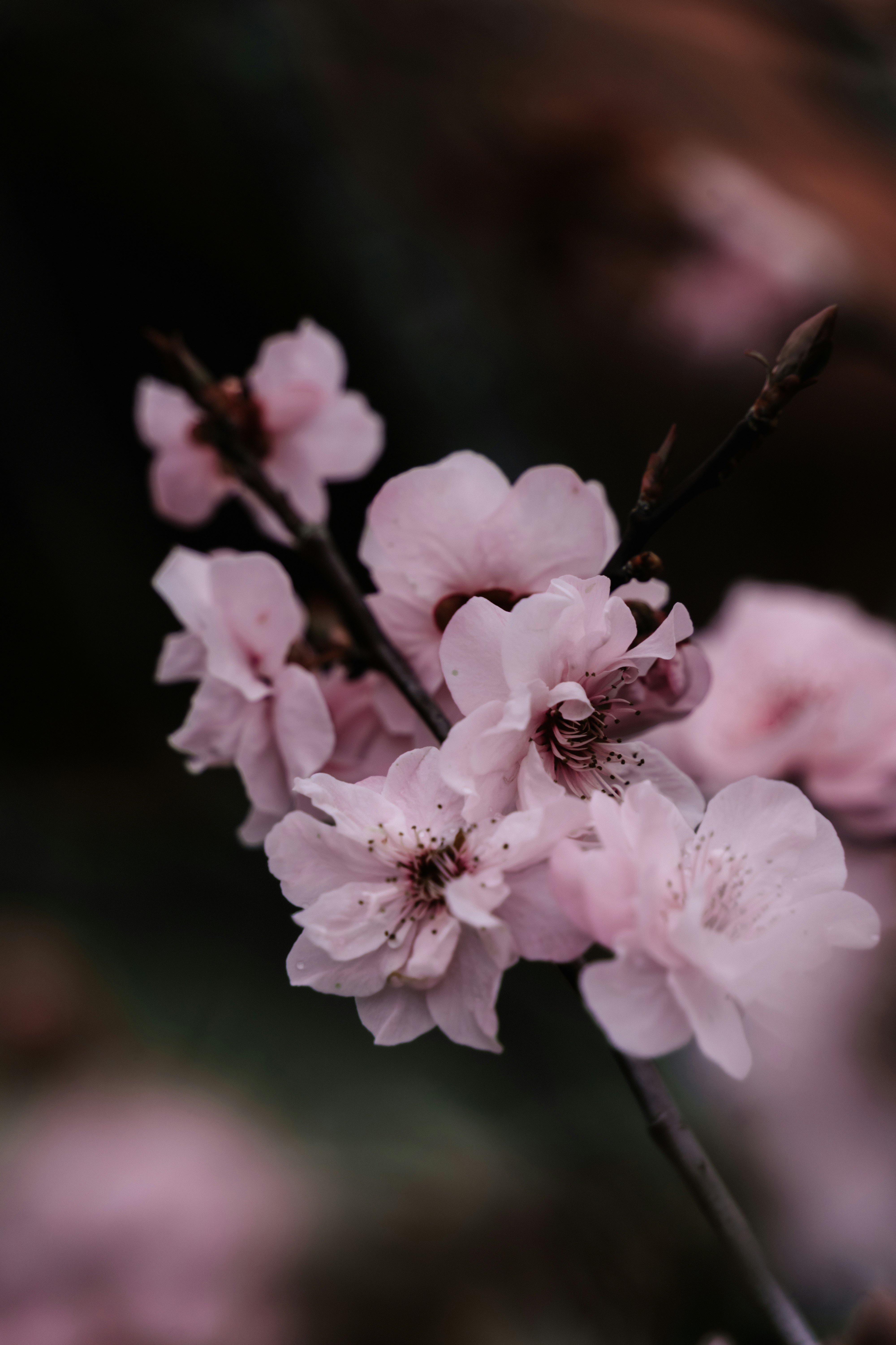 Photo by virussinside