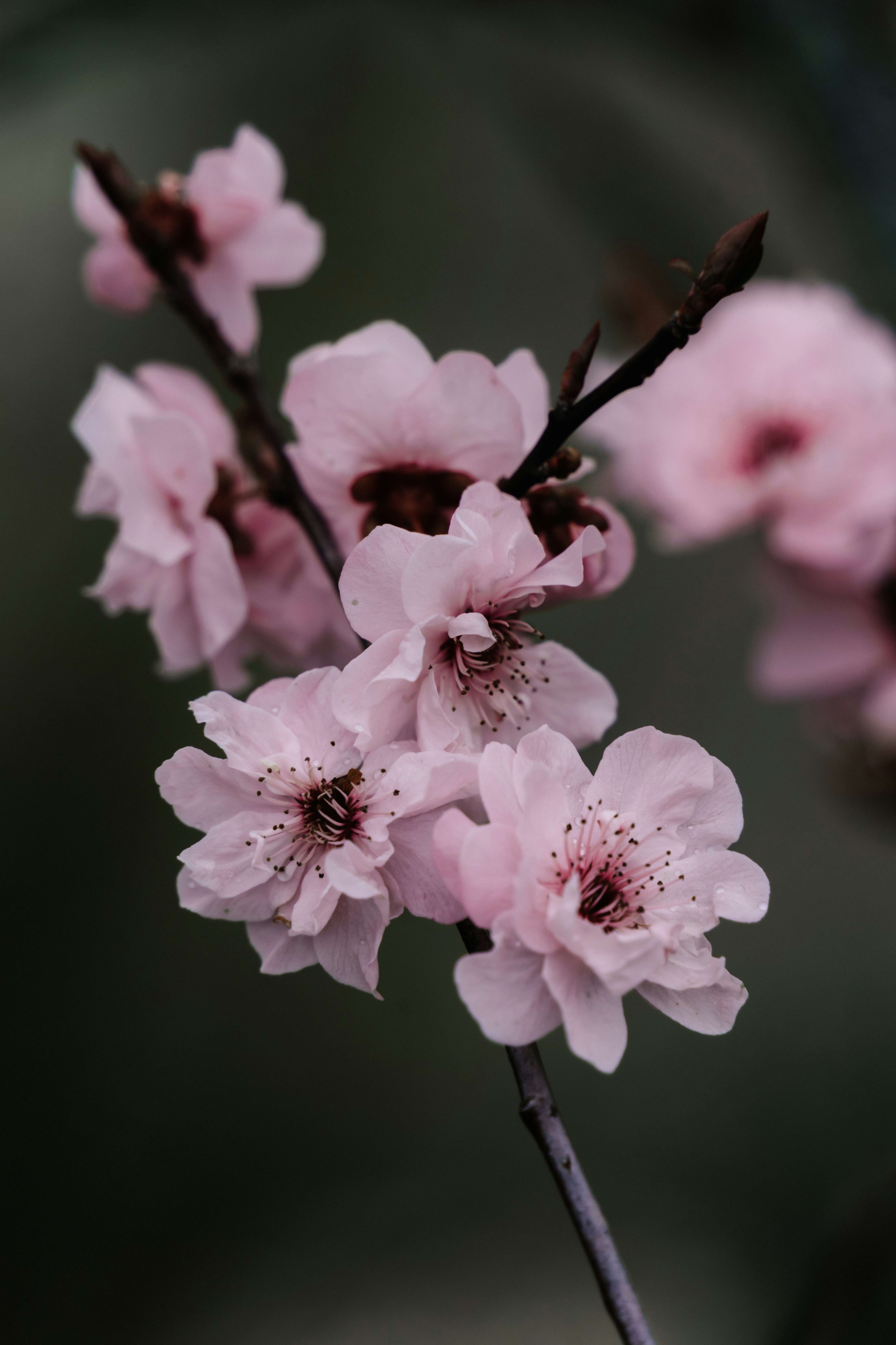 Photo by virussinside