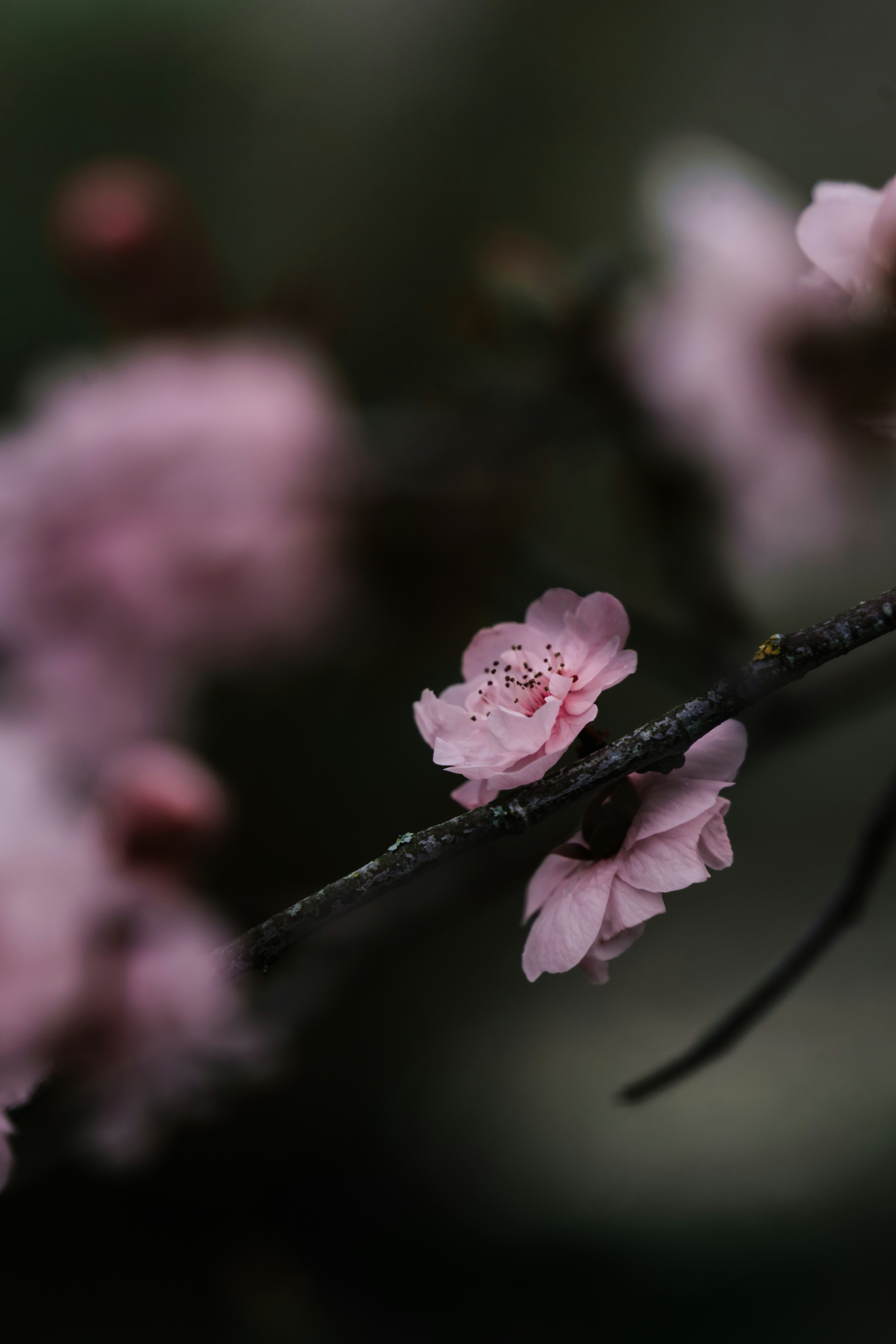 Photo by virussinside