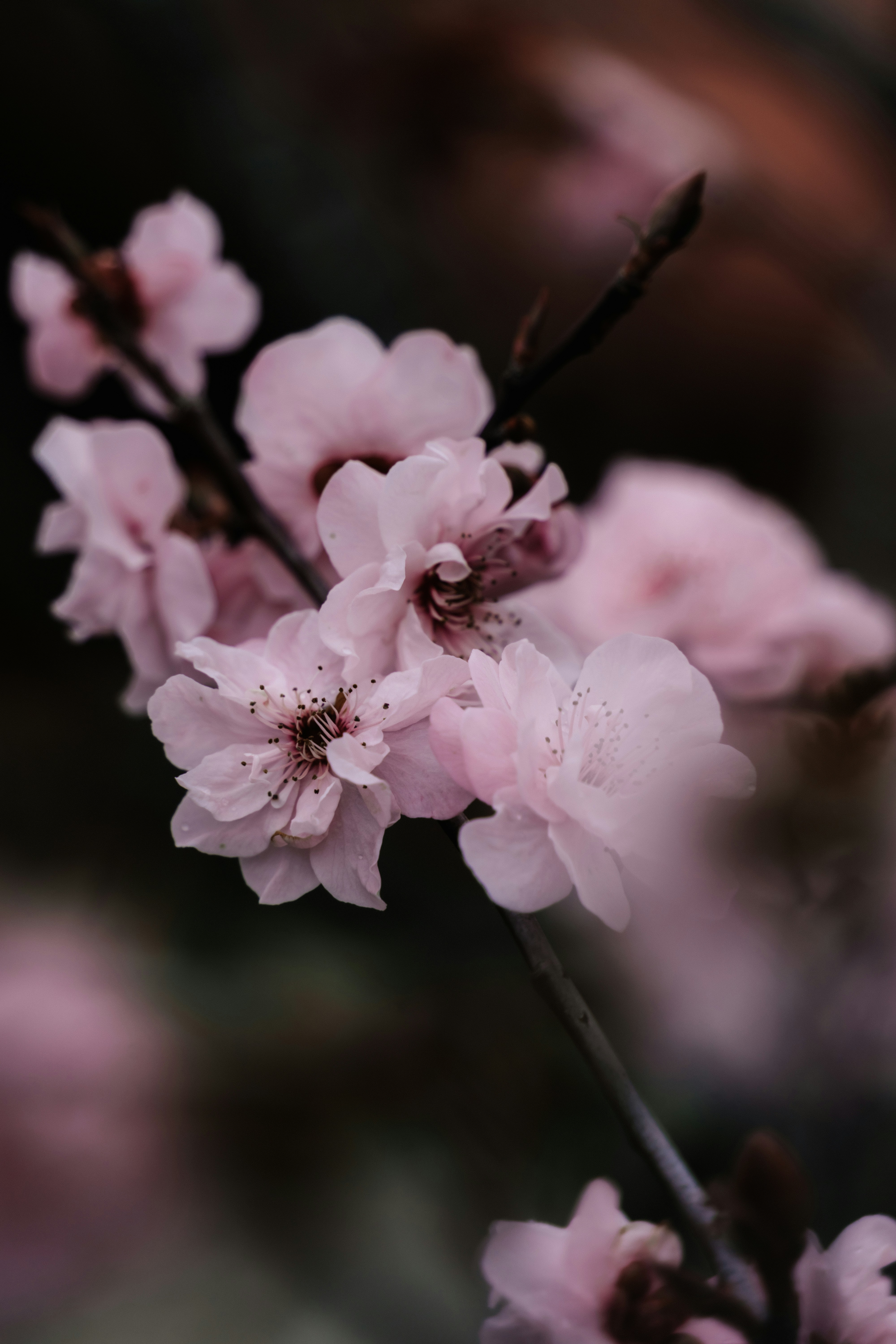 Photo by virussinside