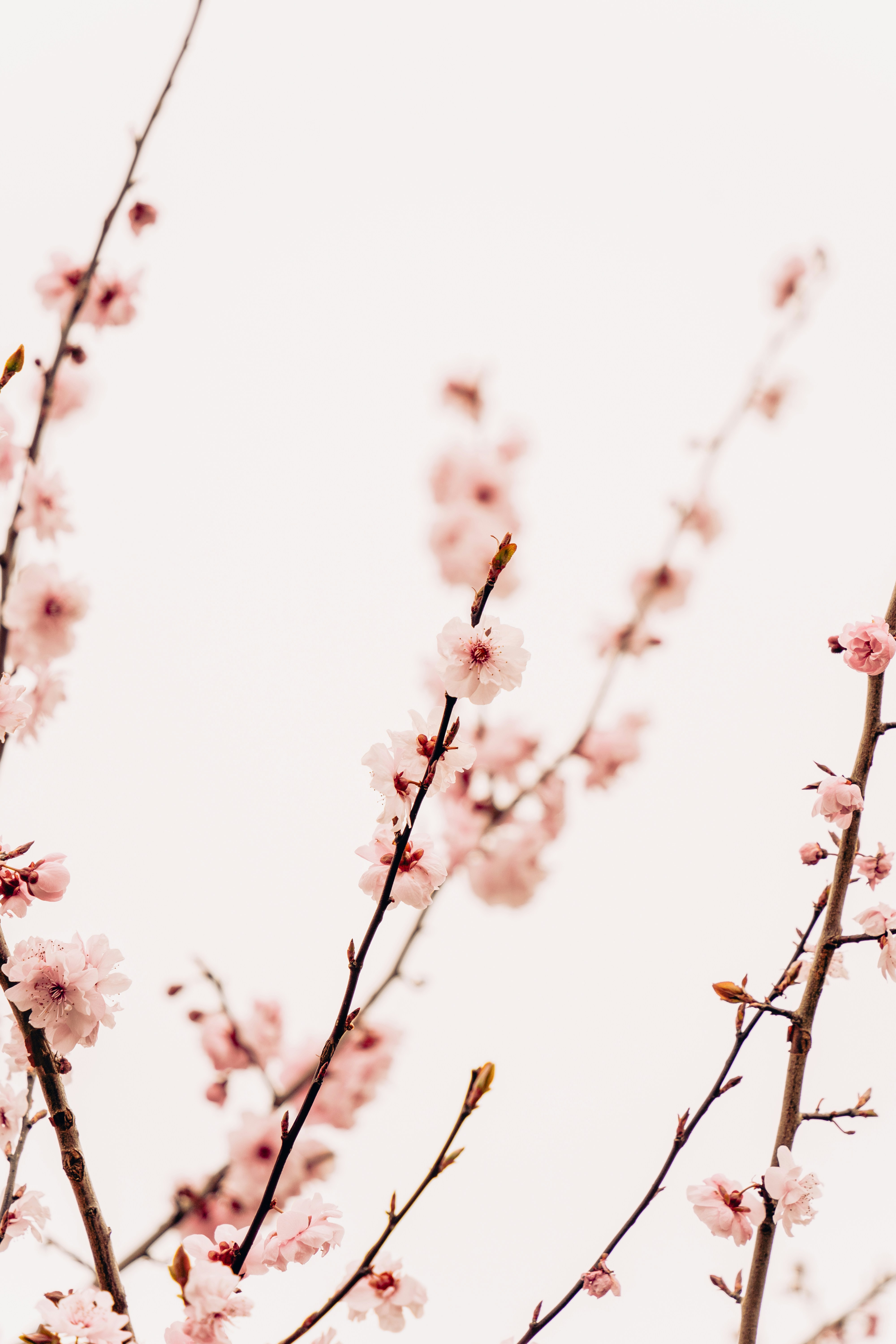 Photo by virussinside