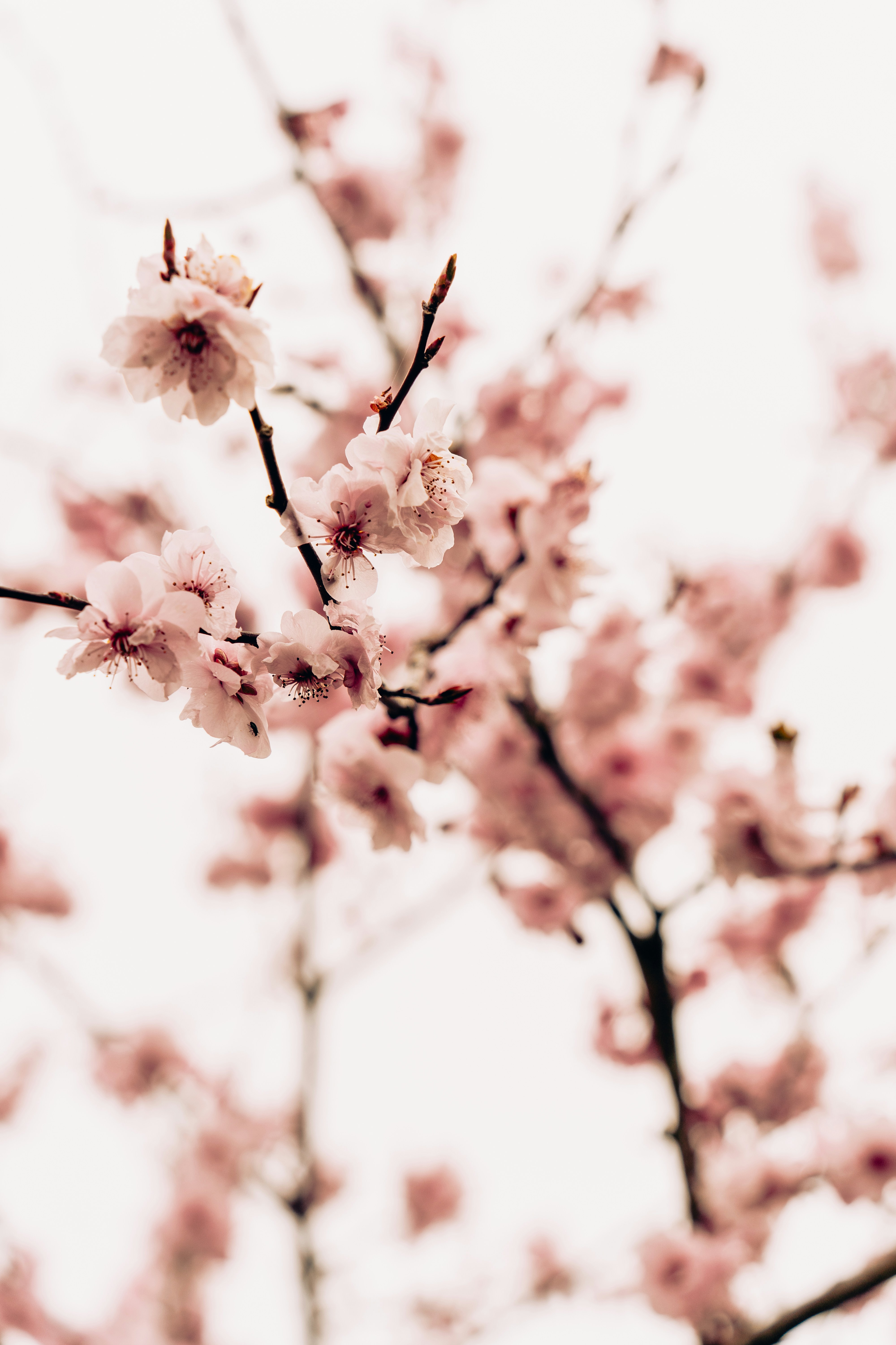 Photo by virussinside