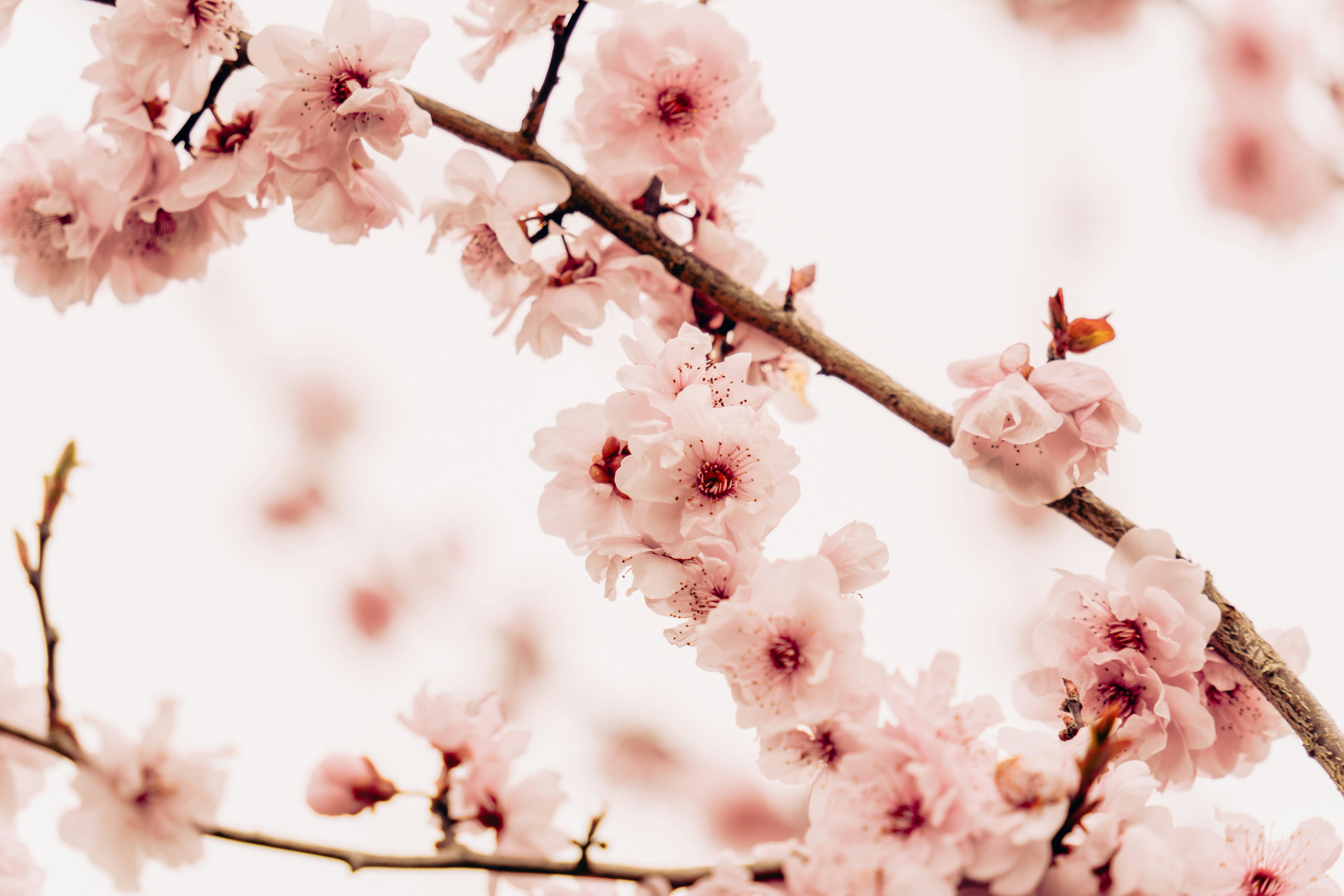 Photo by virussinside