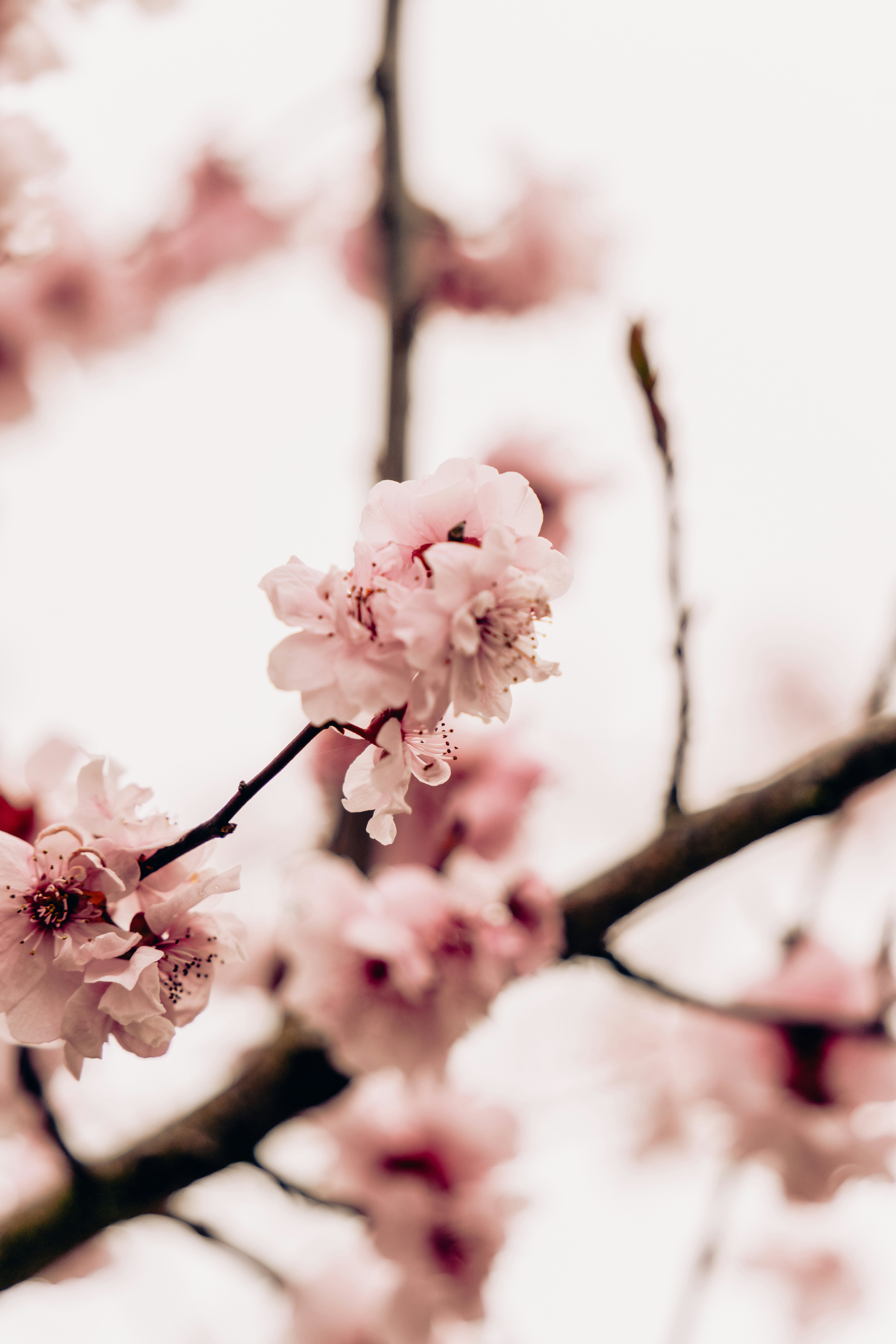 Photo by virussinside