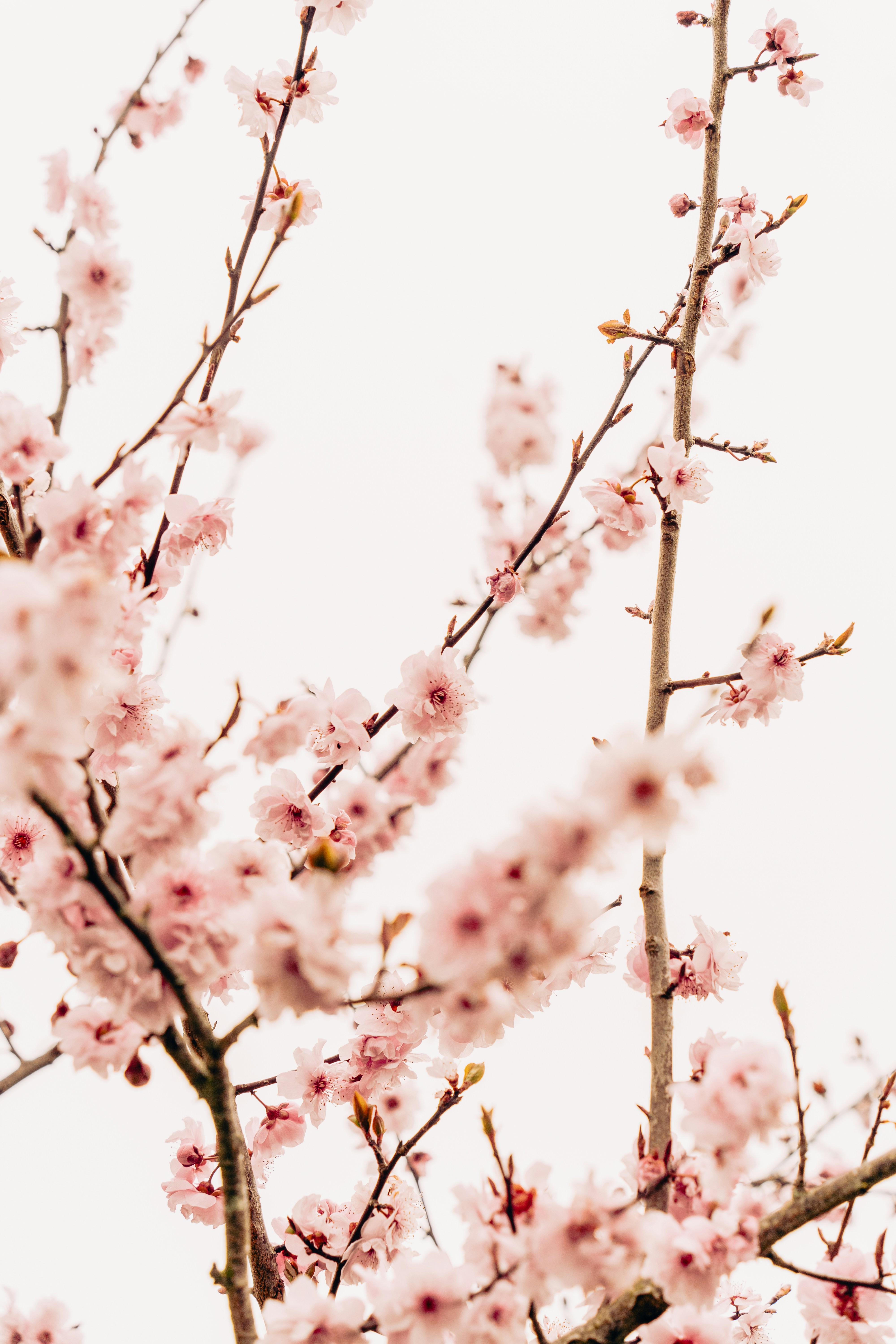 Photo by virussinside