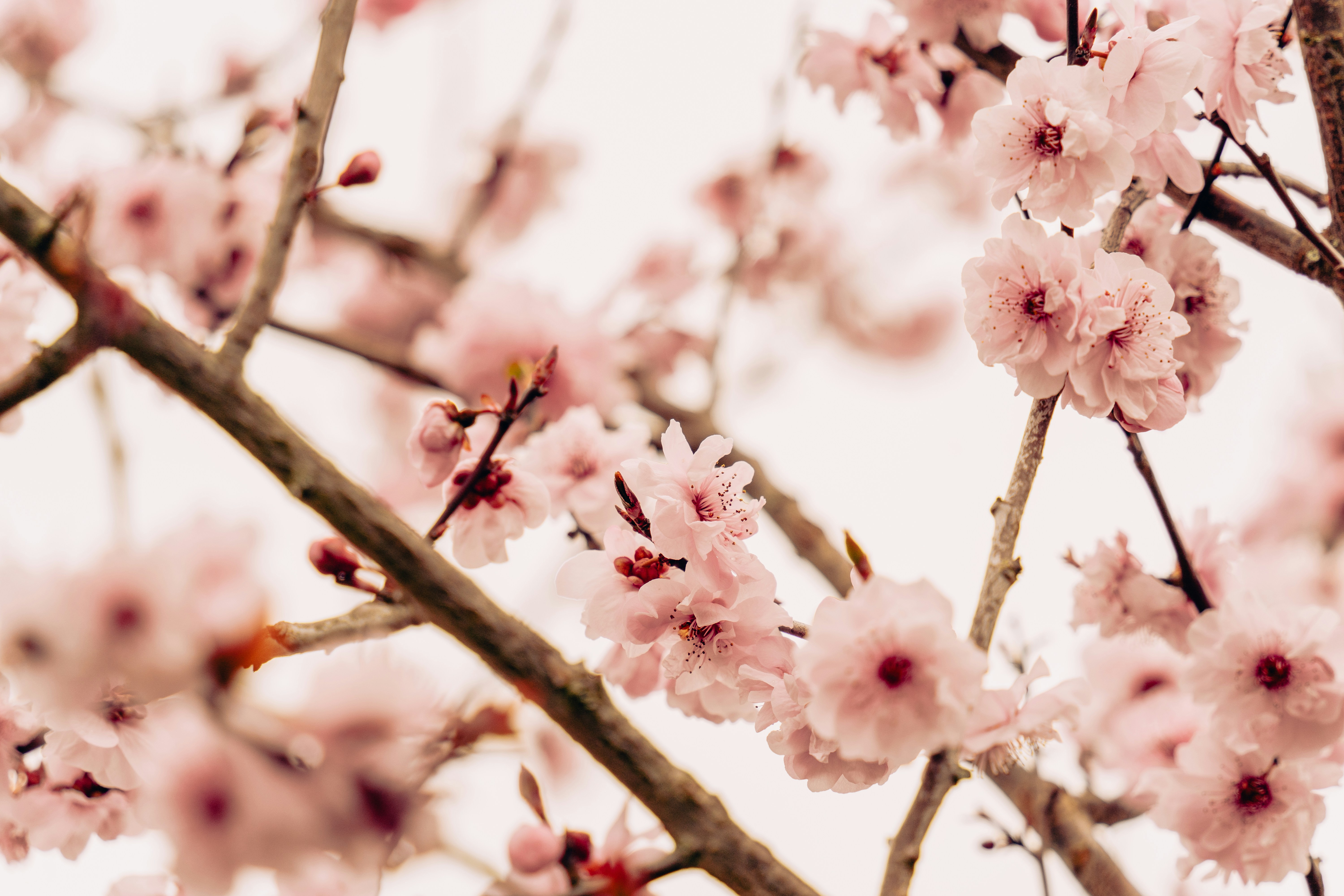 Photo by virussinside