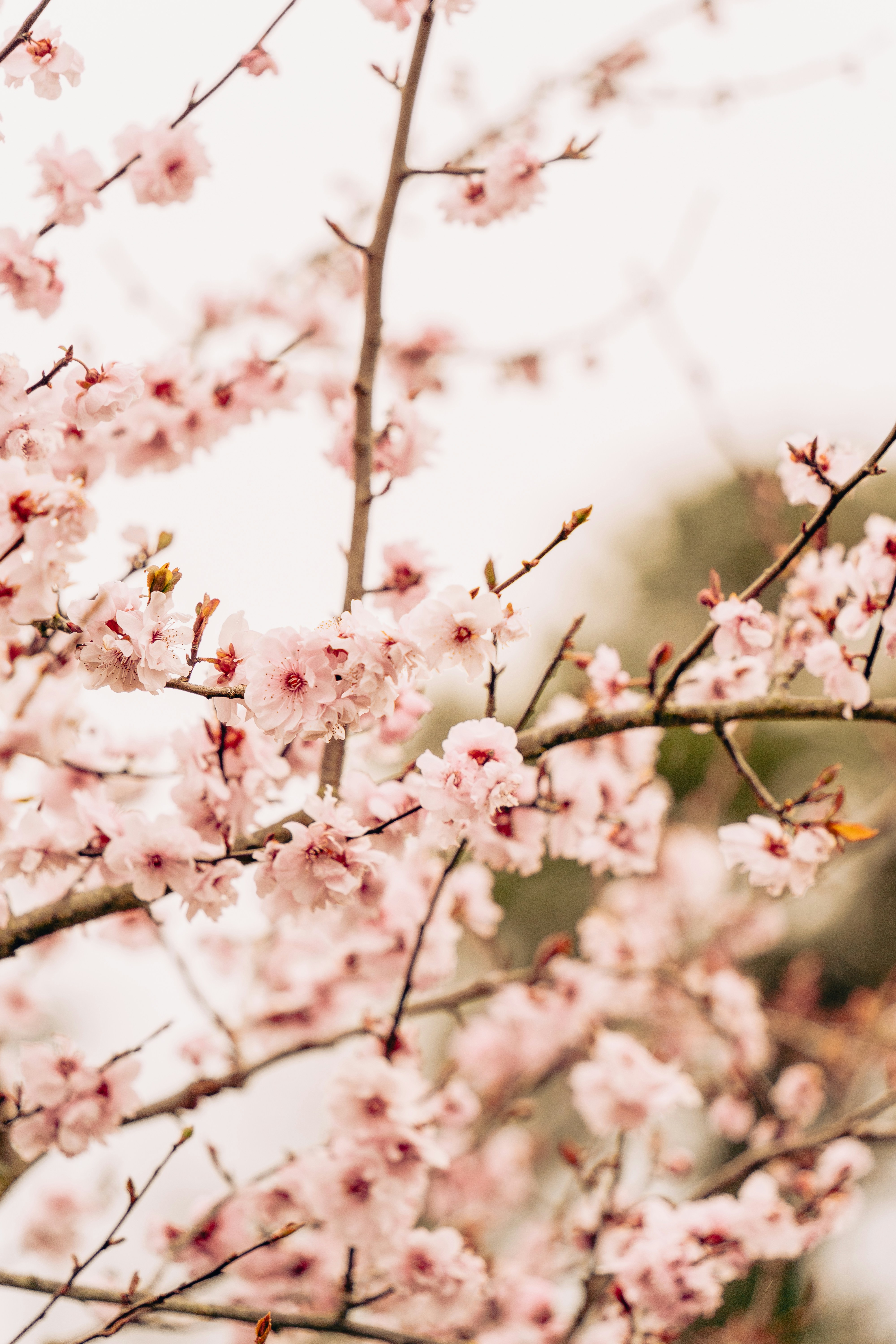 Photo by virussinside