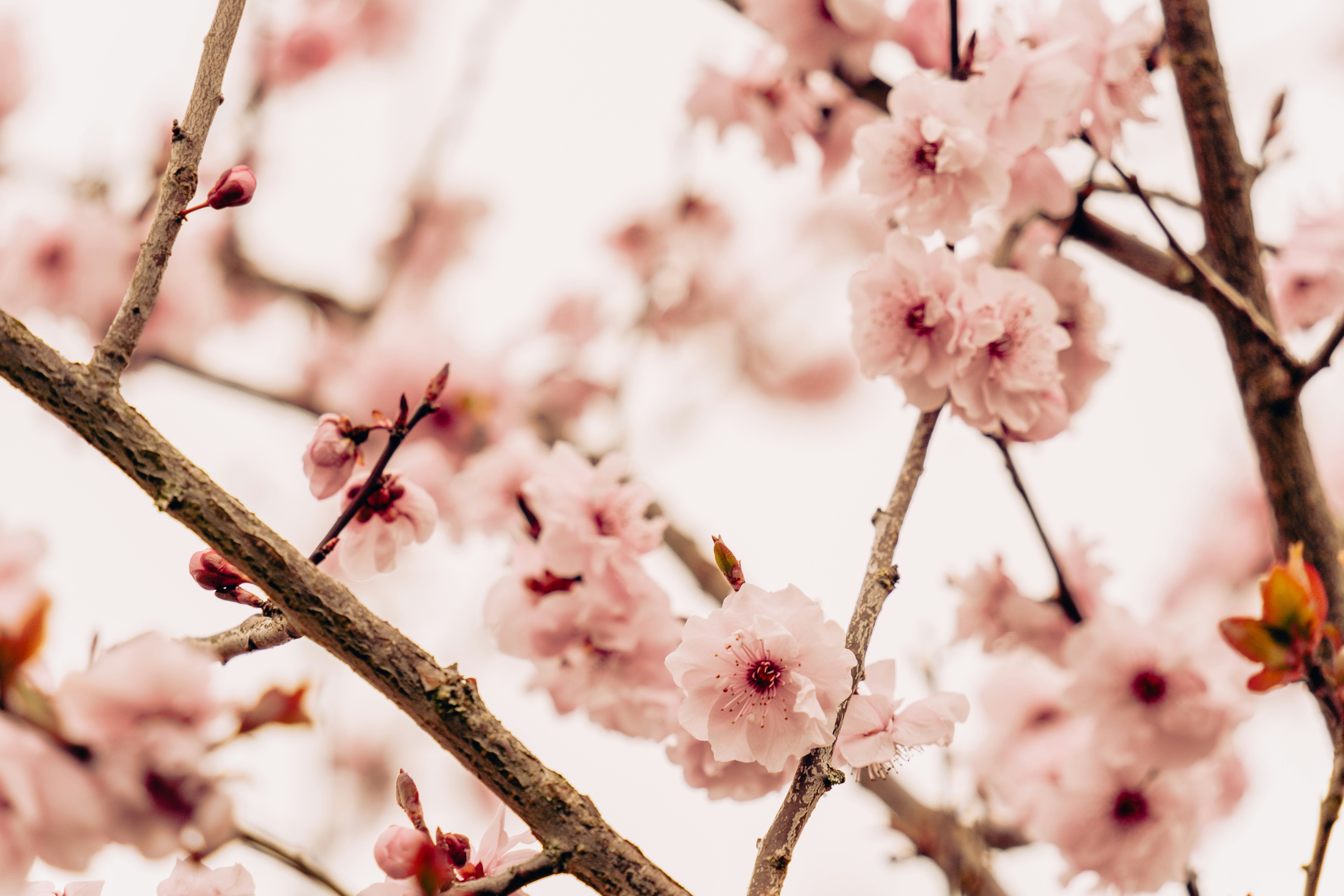 Photo by virussinside