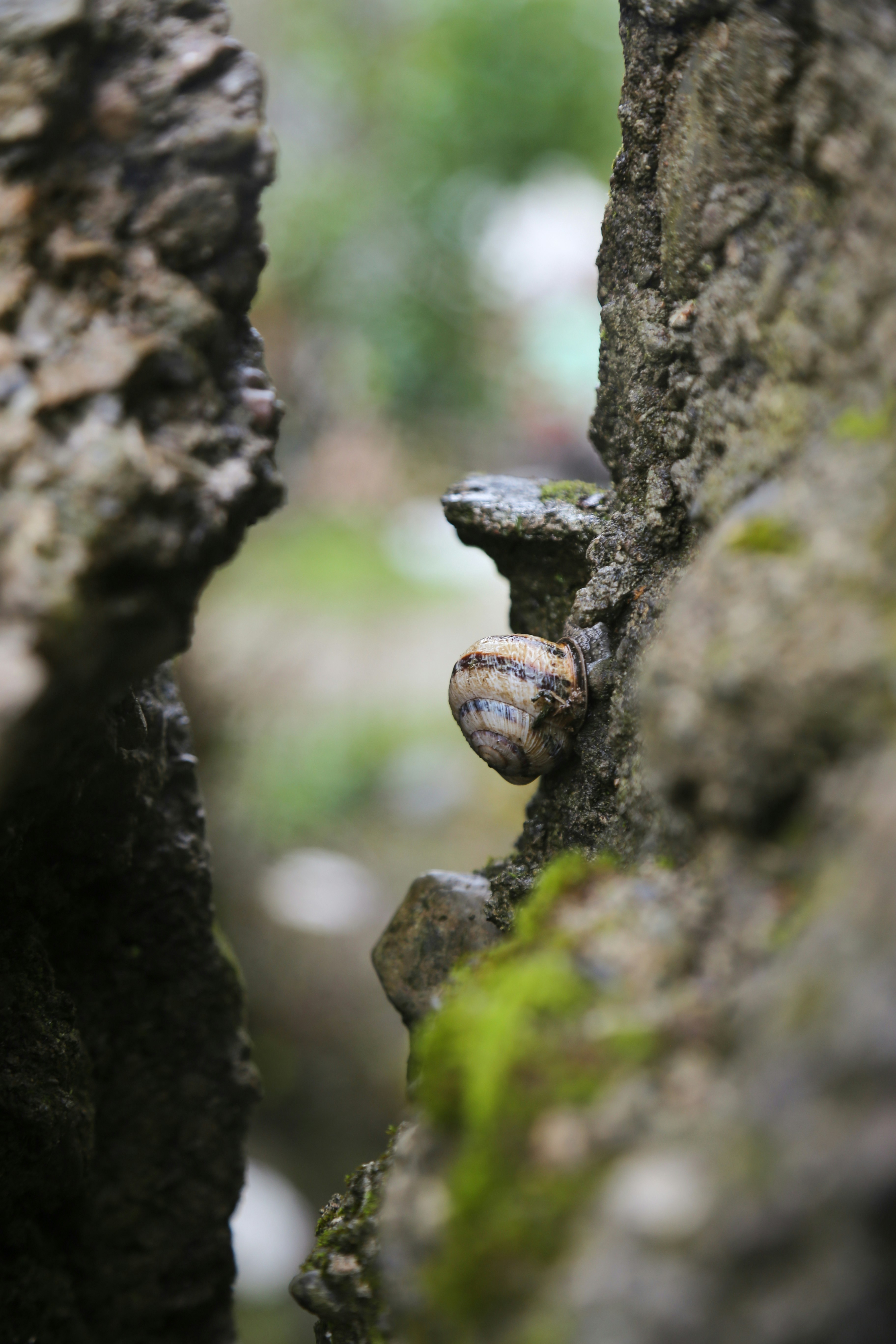 Photo by hannahbeigi