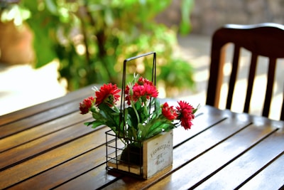 Close-up of vibrant flowering plants in decorative pots on a wooden table.