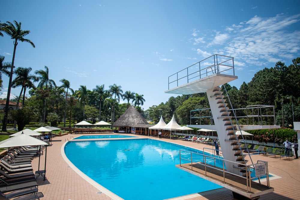 a large swimming pool surrounded by palm trees