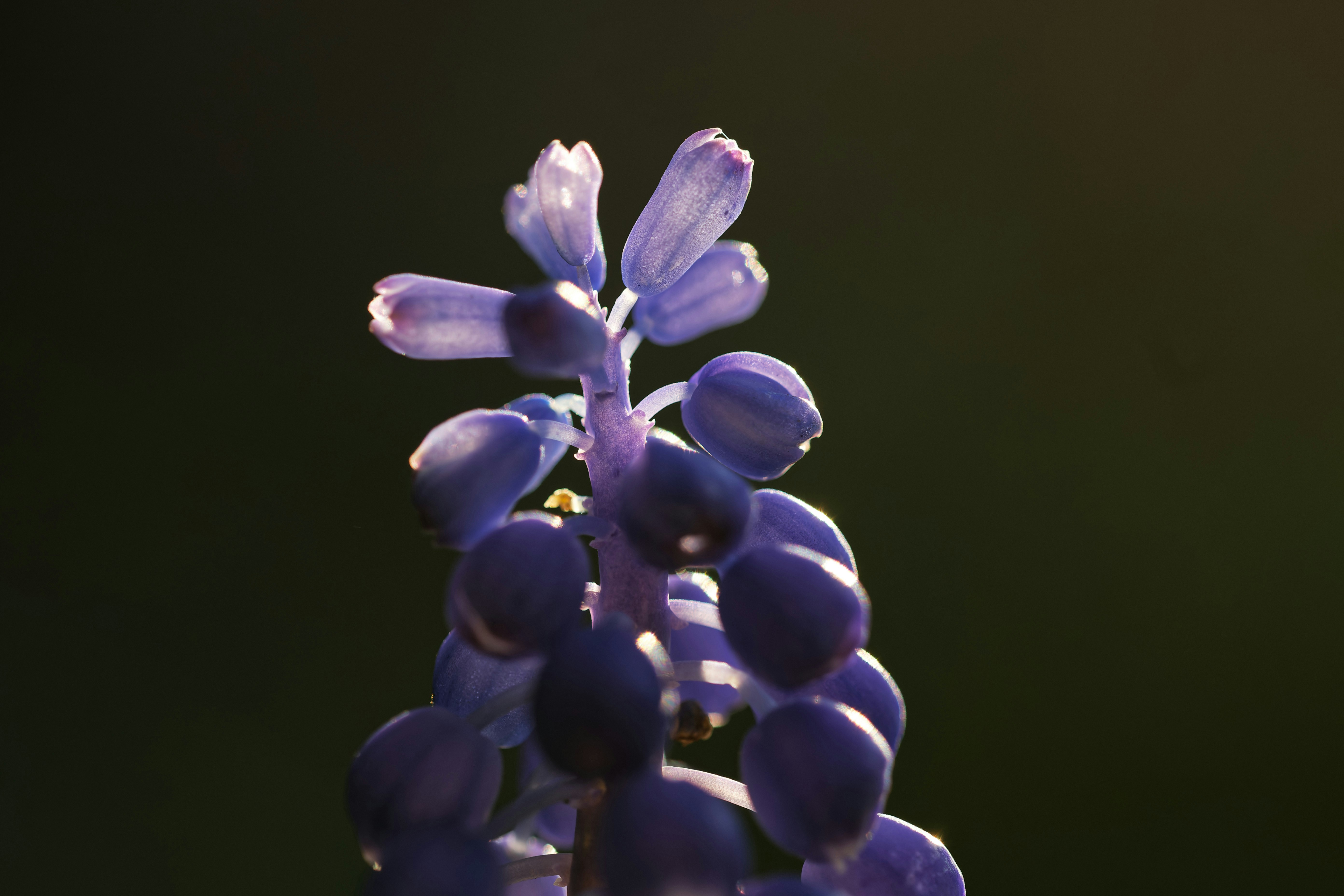 Photo by drscythe