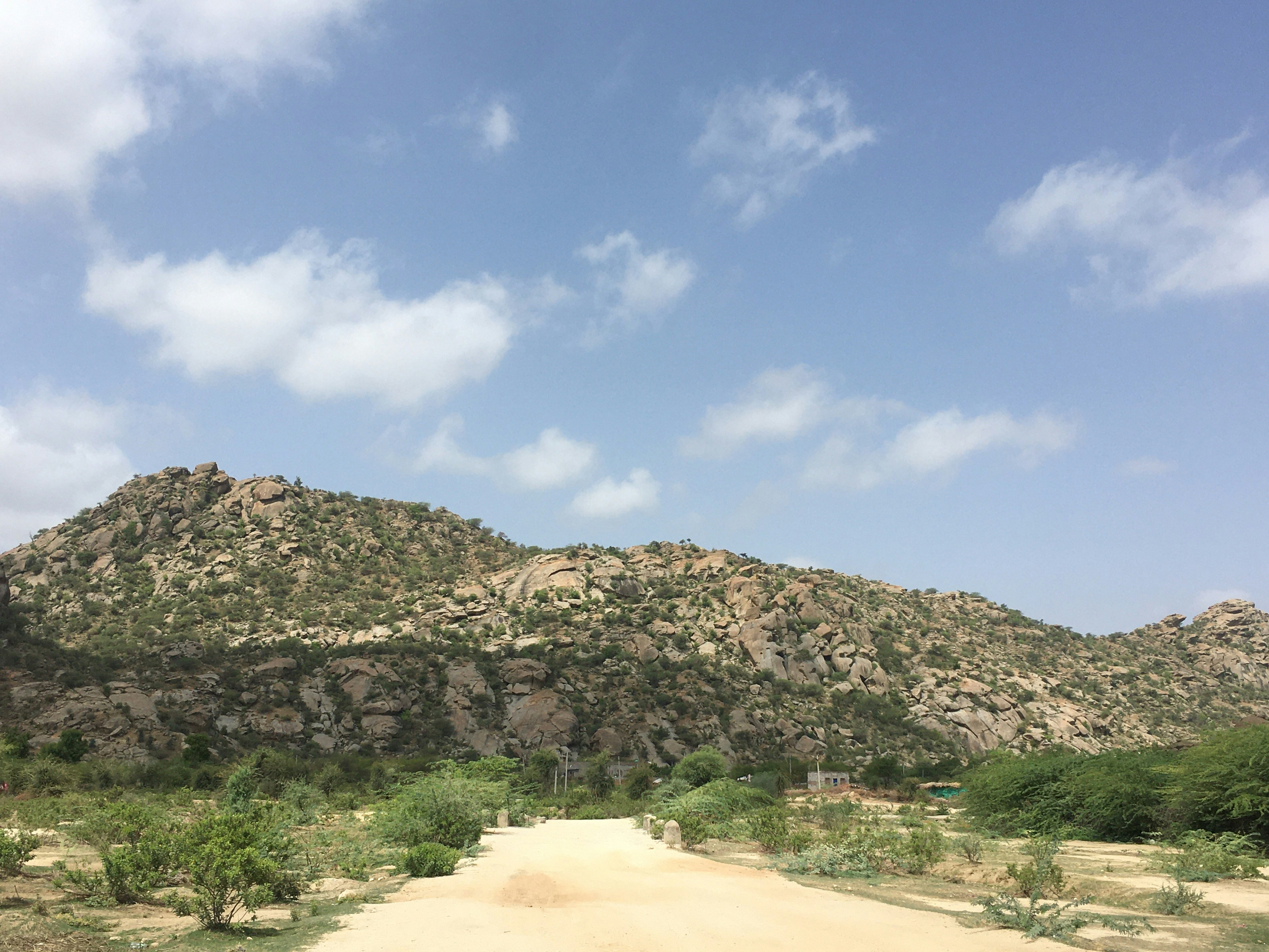 Udaipur to Mount Abu: Aravali Heights