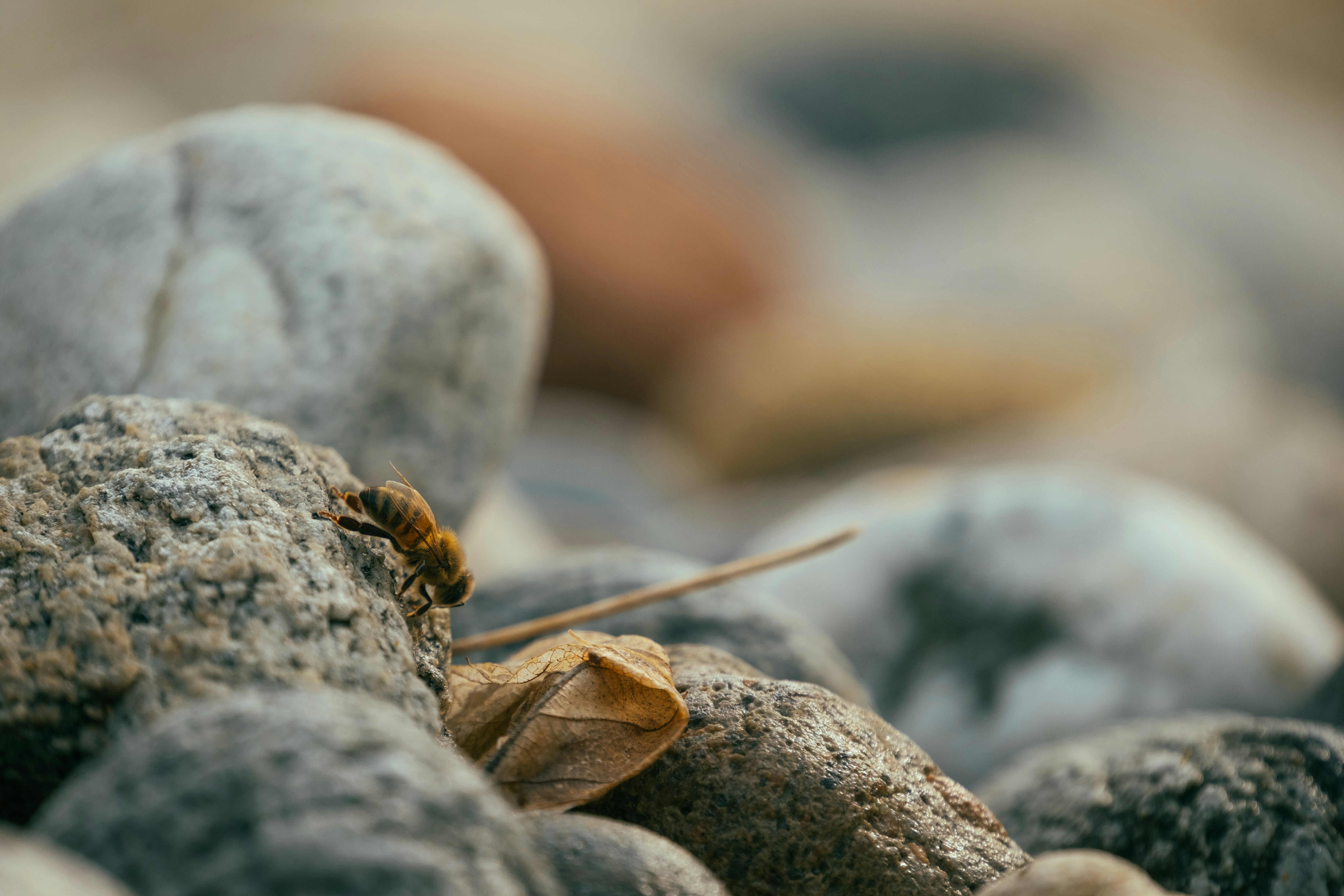 Photo by francesco_ungaro