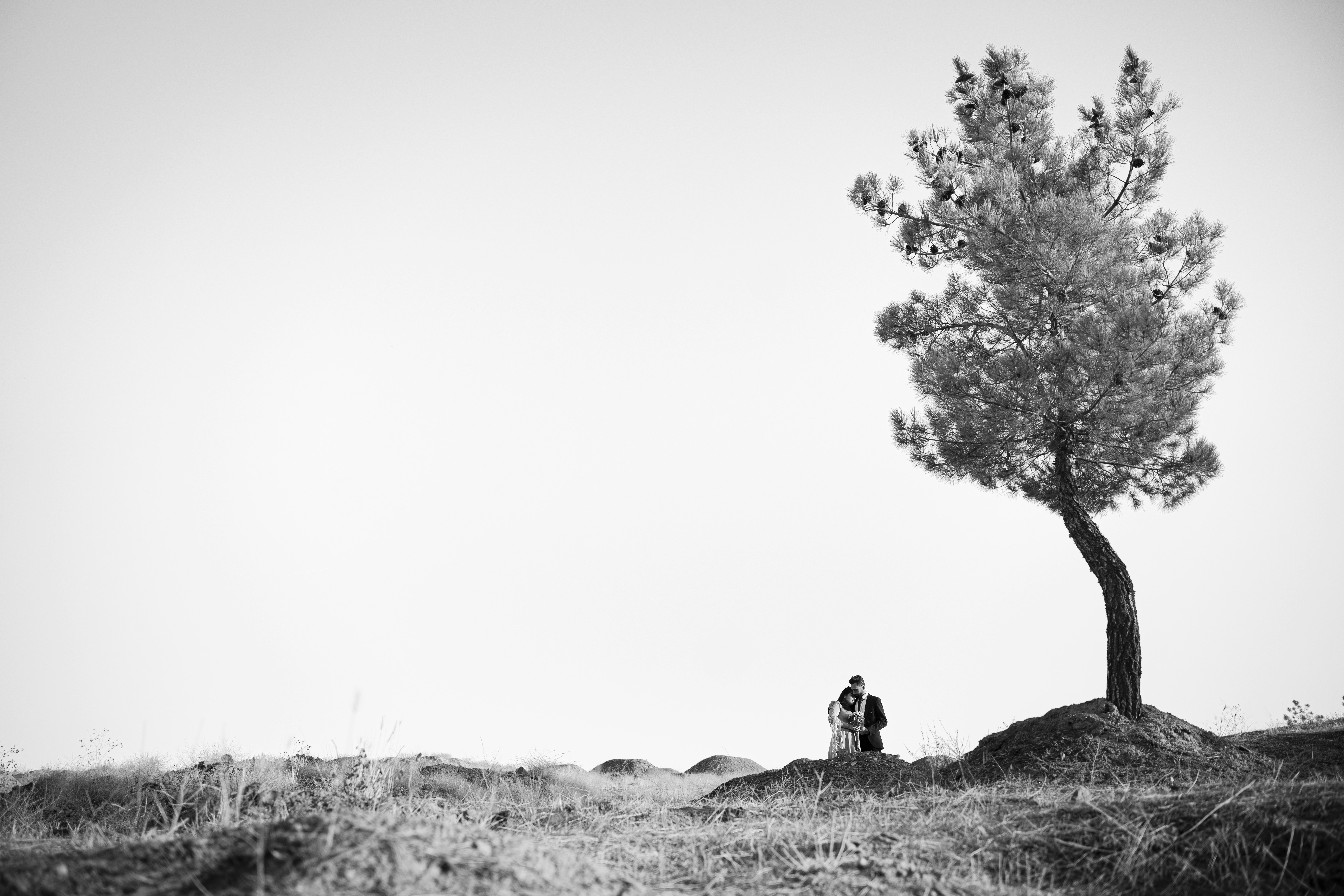 Photo by mahdibafande