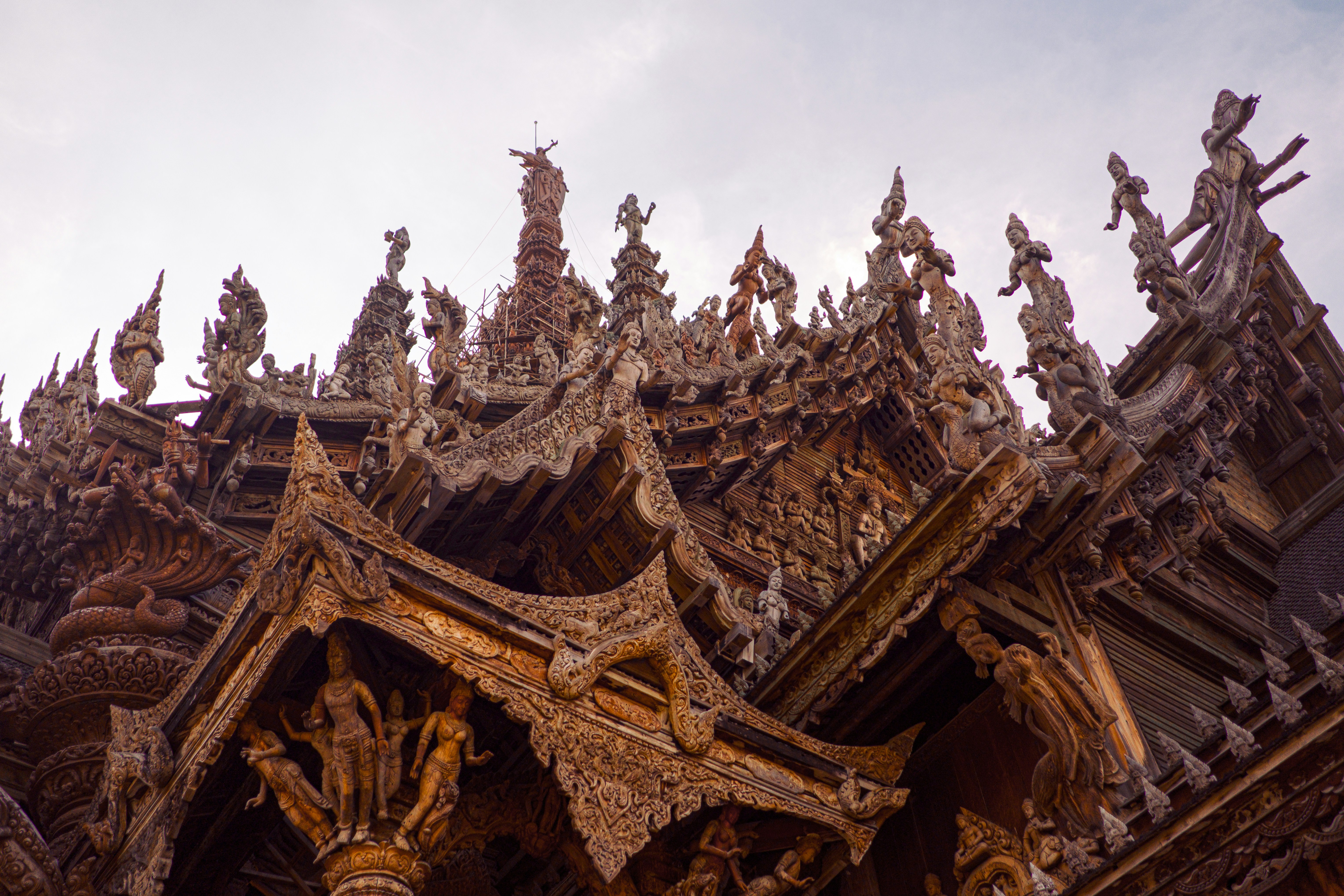 صورة المعرض