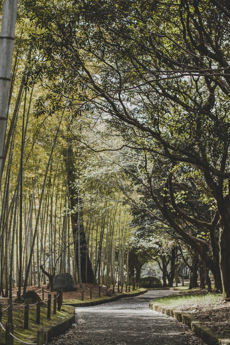 Japanese temple park