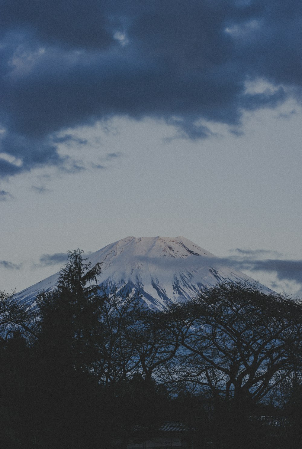 a snow covered mountain with trees in the foreground