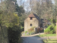 A rustic stone cottage is tucked away in a lush, wooded area. The cottage features a sloped roof and wooden window frames, surrounded by various trees and greenery. A dirt path leads up to the building, lined with purple flowers along the side. Sunlight filters through the leaves, creating a peaceful and serene atmosphere.