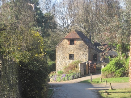 A rustic stone cottage is tucked away in a lush, wooded area. The cottage features a sloped roof and wooden window frames, surrounded by various trees and greenery. A dirt path leads up to the building, lined with purple flowers along the side. Sunlight filters through the leaves, creating a peaceful and serene atmosphere.