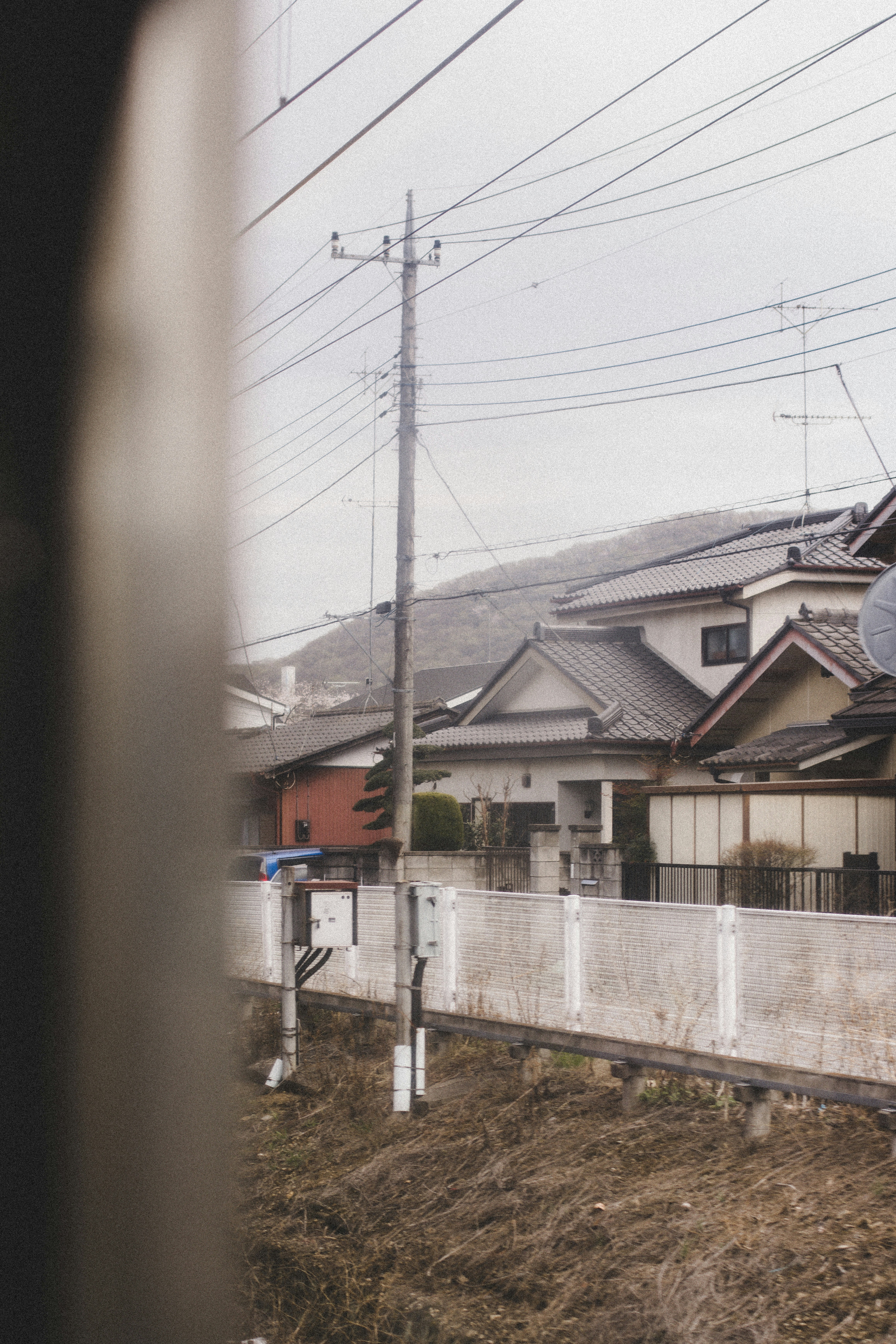 Photo by zeketucker