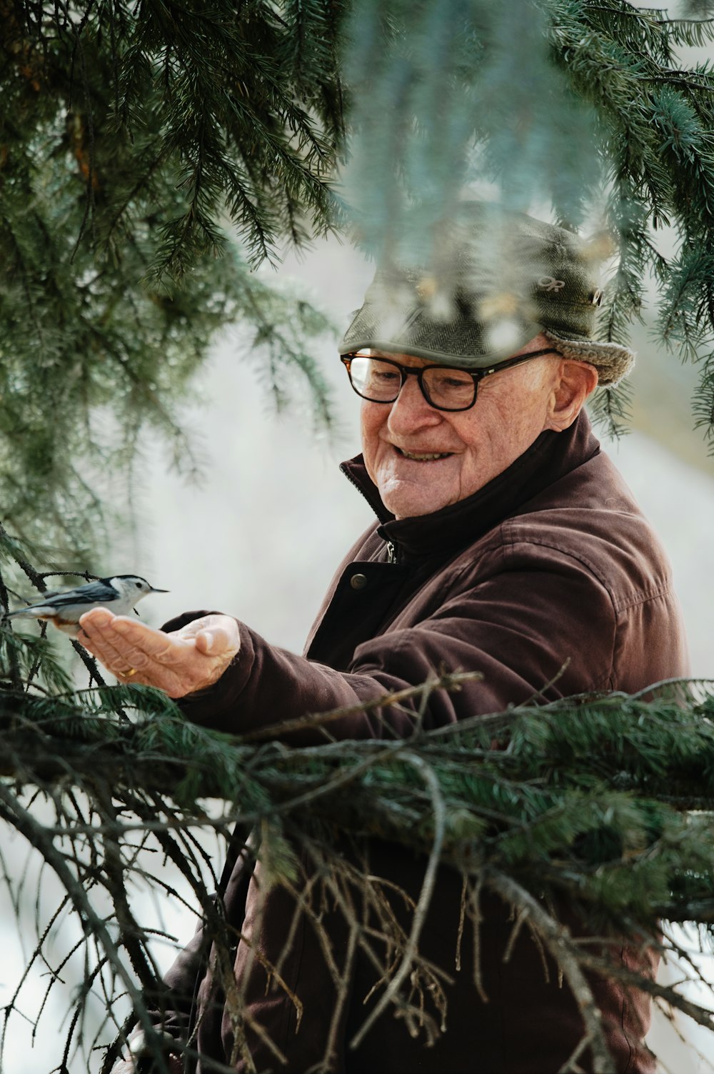 a man holding a pair of scissors in a pine tree