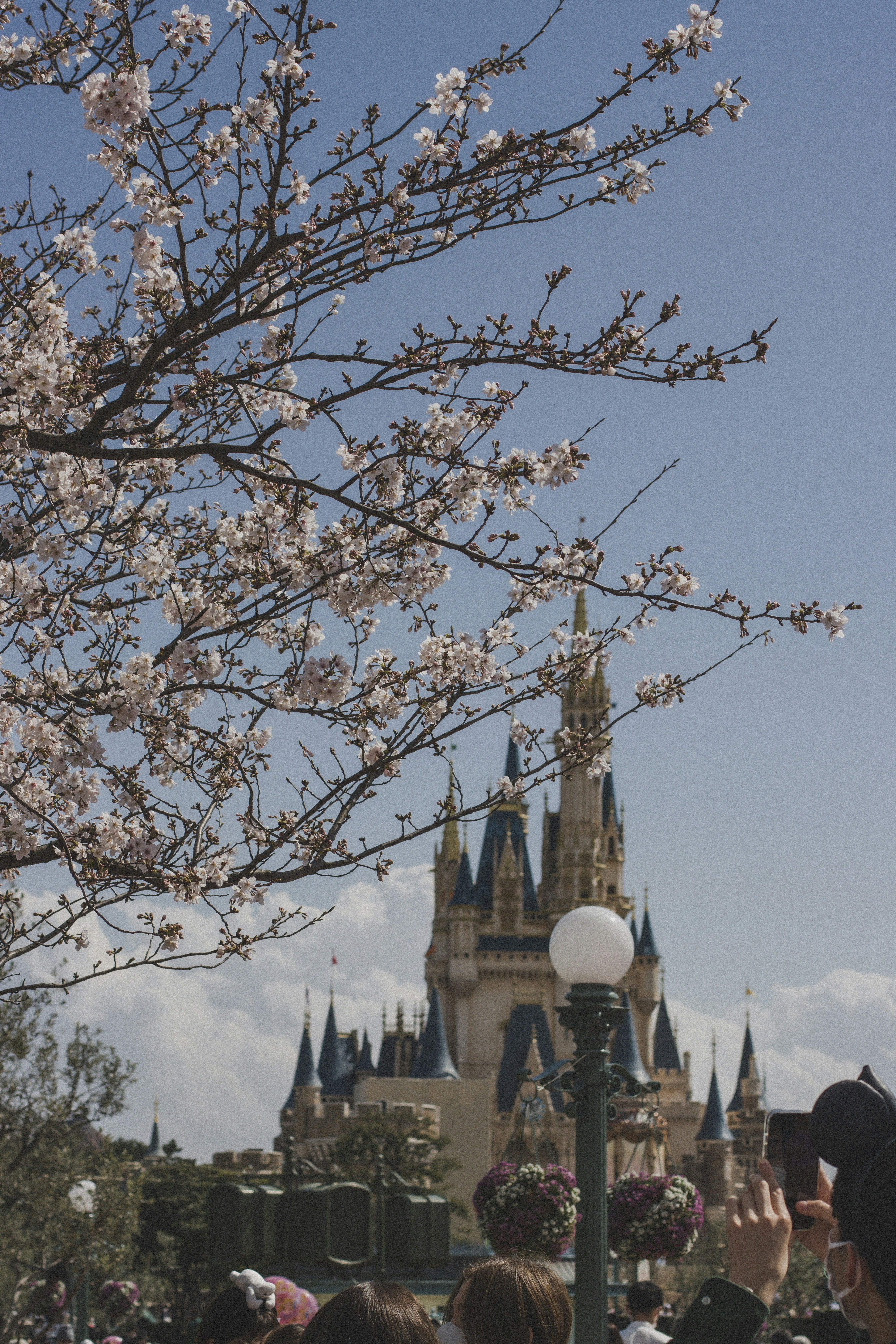 🎡 Tokyo Disneyland