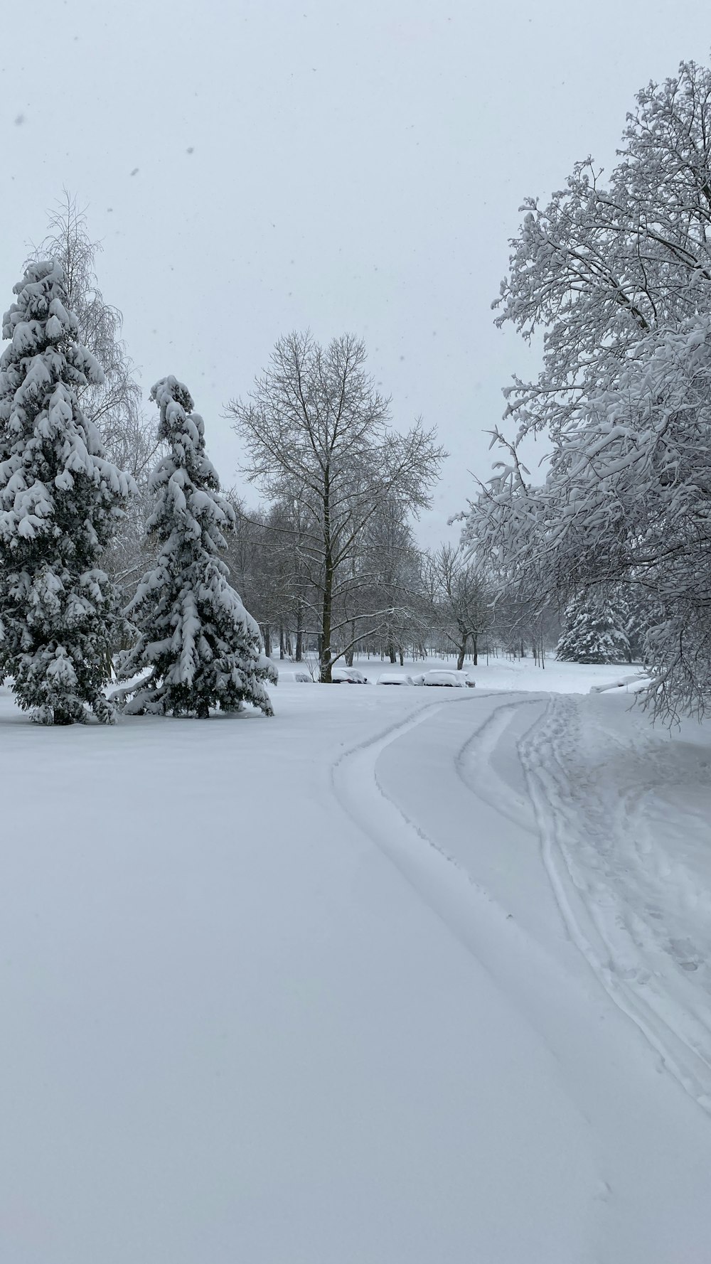 a snow covered road with trees in the background