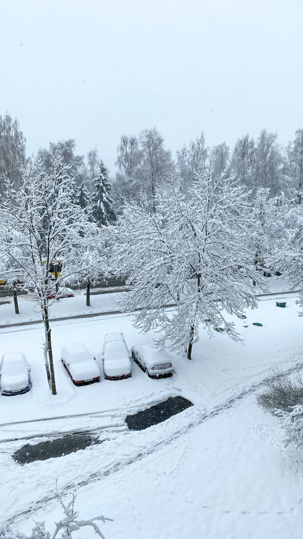 a parking lot covered in snow next to trees