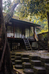 An elevated cabin structure made of wood and glass sits amidst a lush forest setting. The cabin is accessible via a small, dark wooden ladder. The roof is covered with foliage, and steps made from dark stone lead up to the cabin. The surrounding area is dense with green trees, and sunlight filters through the leaves.