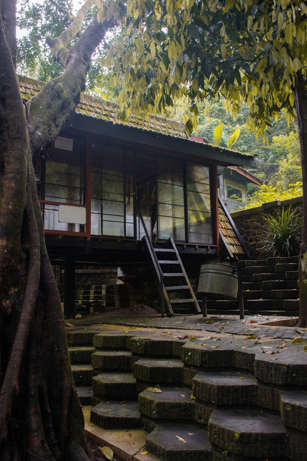 une maison dans les bois avec des marches qui y mènent