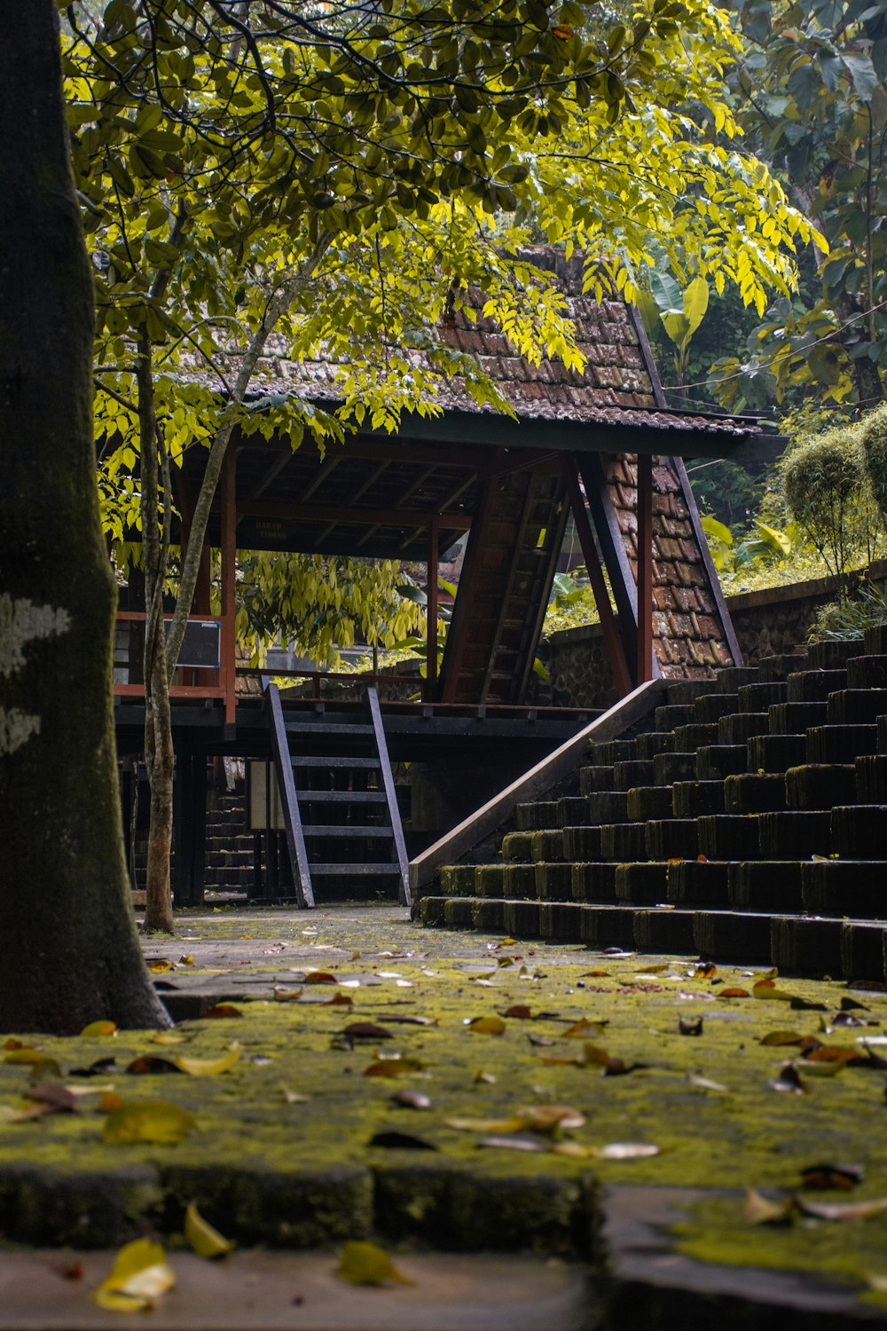 a wooden structure sitting next to a lush green forest