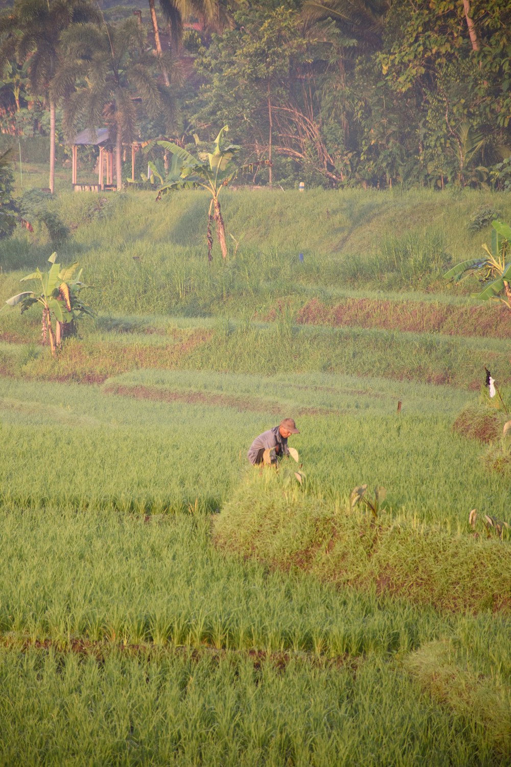 a man is working in a field of grass
