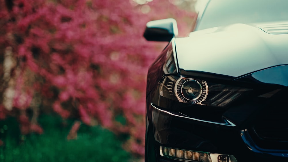 a close up of a car parked in front of a tree