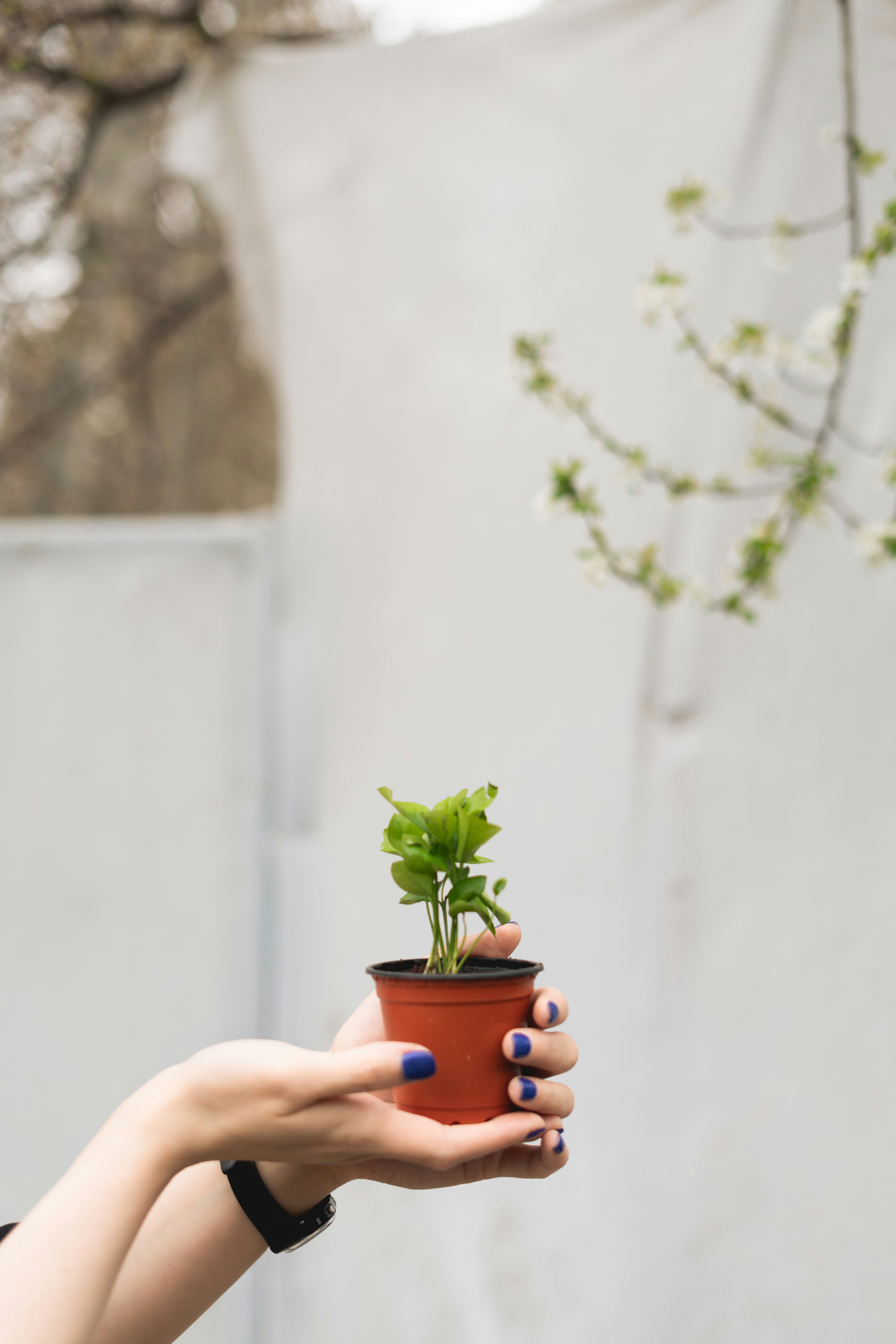 Photo by soltanimedia