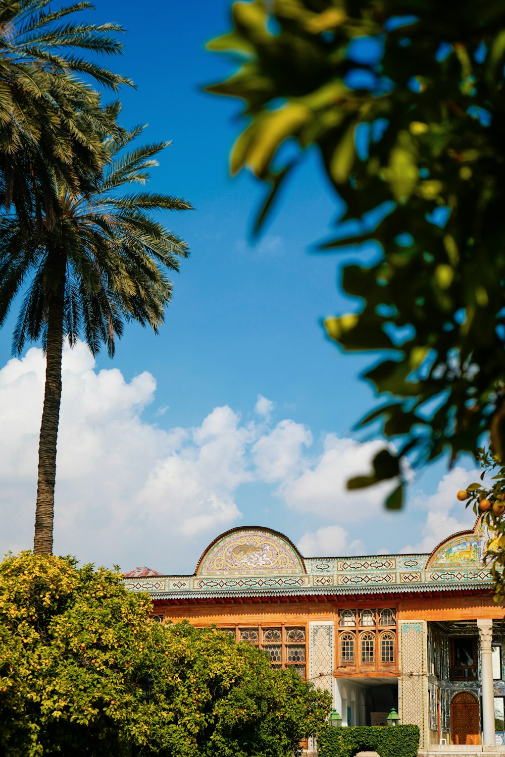 a large building with a palm tree in front of it