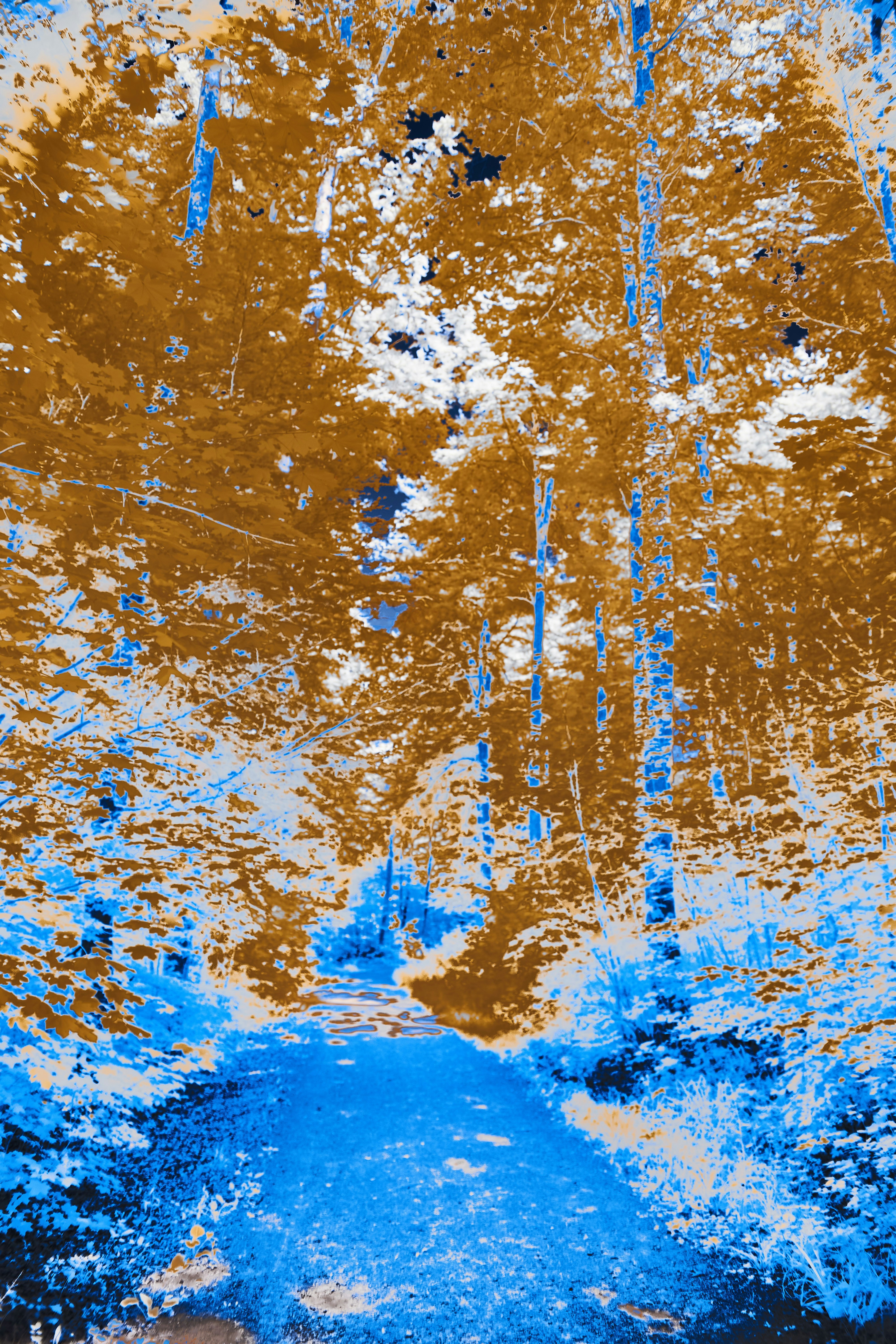 Photo by wolfgang_hasselmann