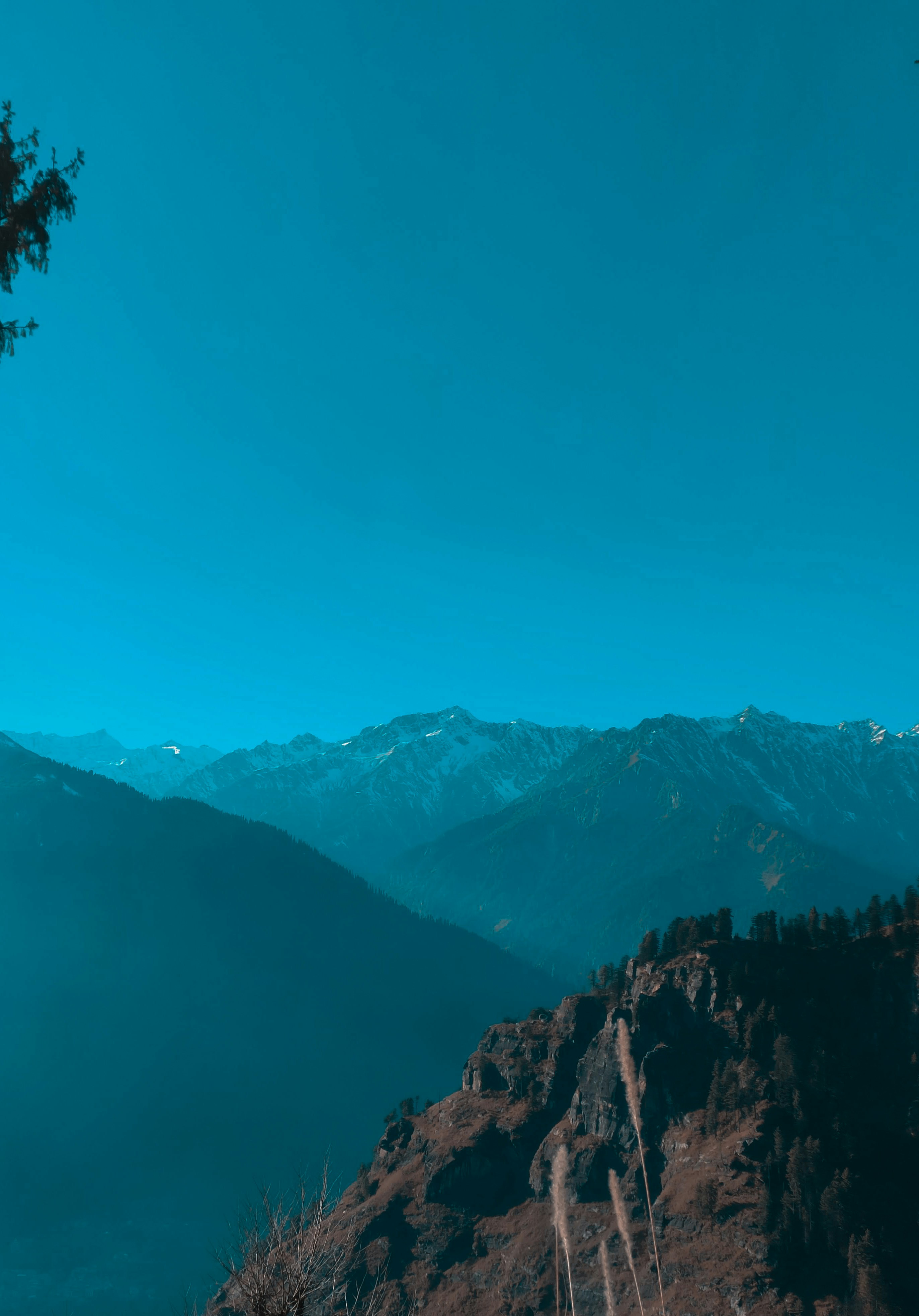 Photo by amigos_shine0