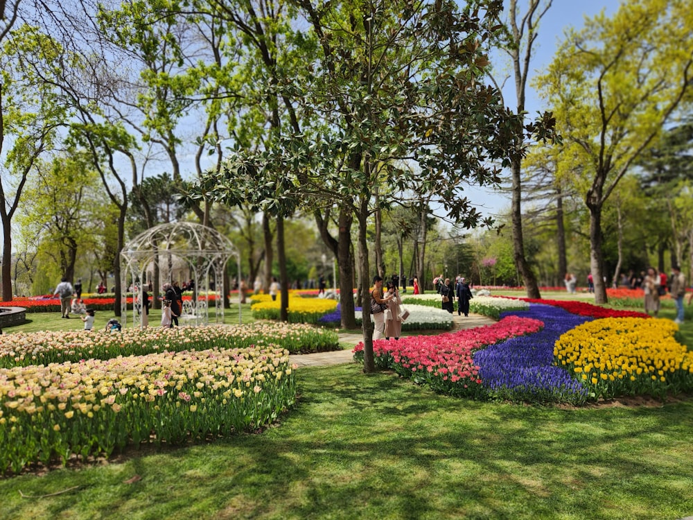 a park filled with lots of colorful flowers