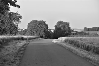 A rural paved road stretches into the distance with trees lining both sides. Fields extend into the horizon, and the scene is captured in black and white, highlighting the contrast between shadows and light. The surrounding trees are lush and dense, contributing to a quiet, serene atmosphere.