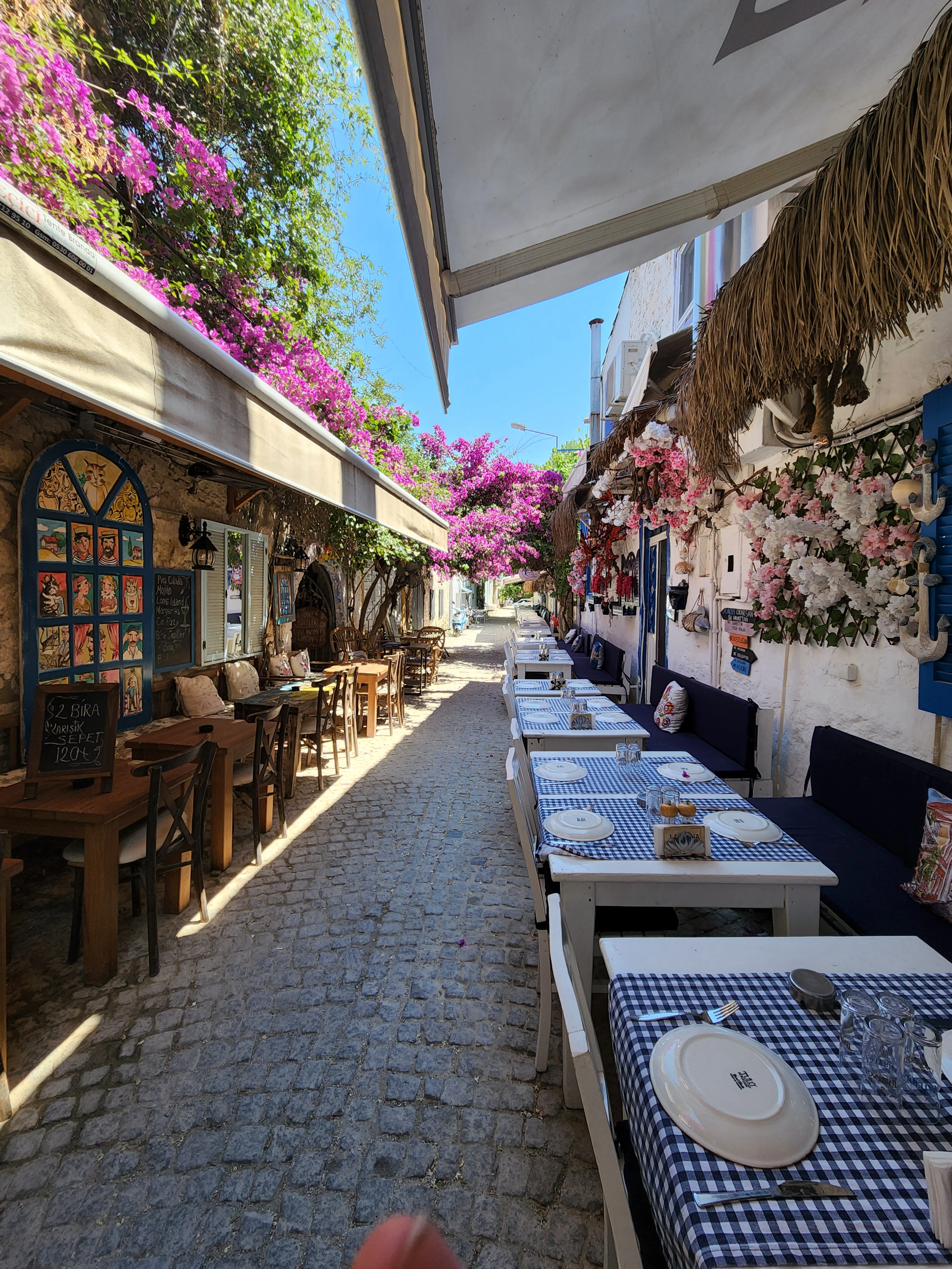 Restaurant tables in blue-and-white checked cloths lining a narrow cobbled alley in Alacati on Izmir's Cesme peninsula, under cascading magenta bougainvillea and a thatched awning