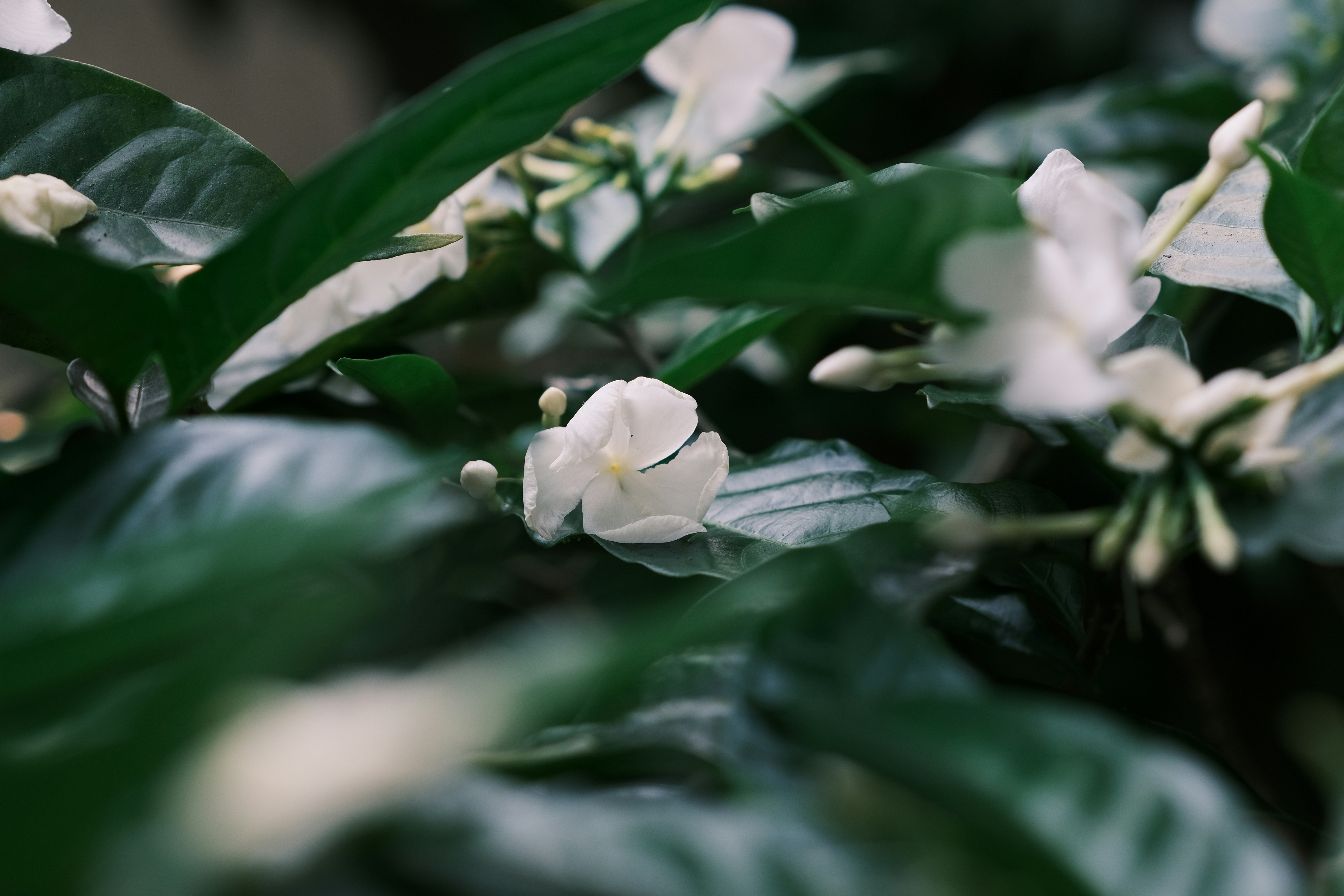 Photo by tutrananh109