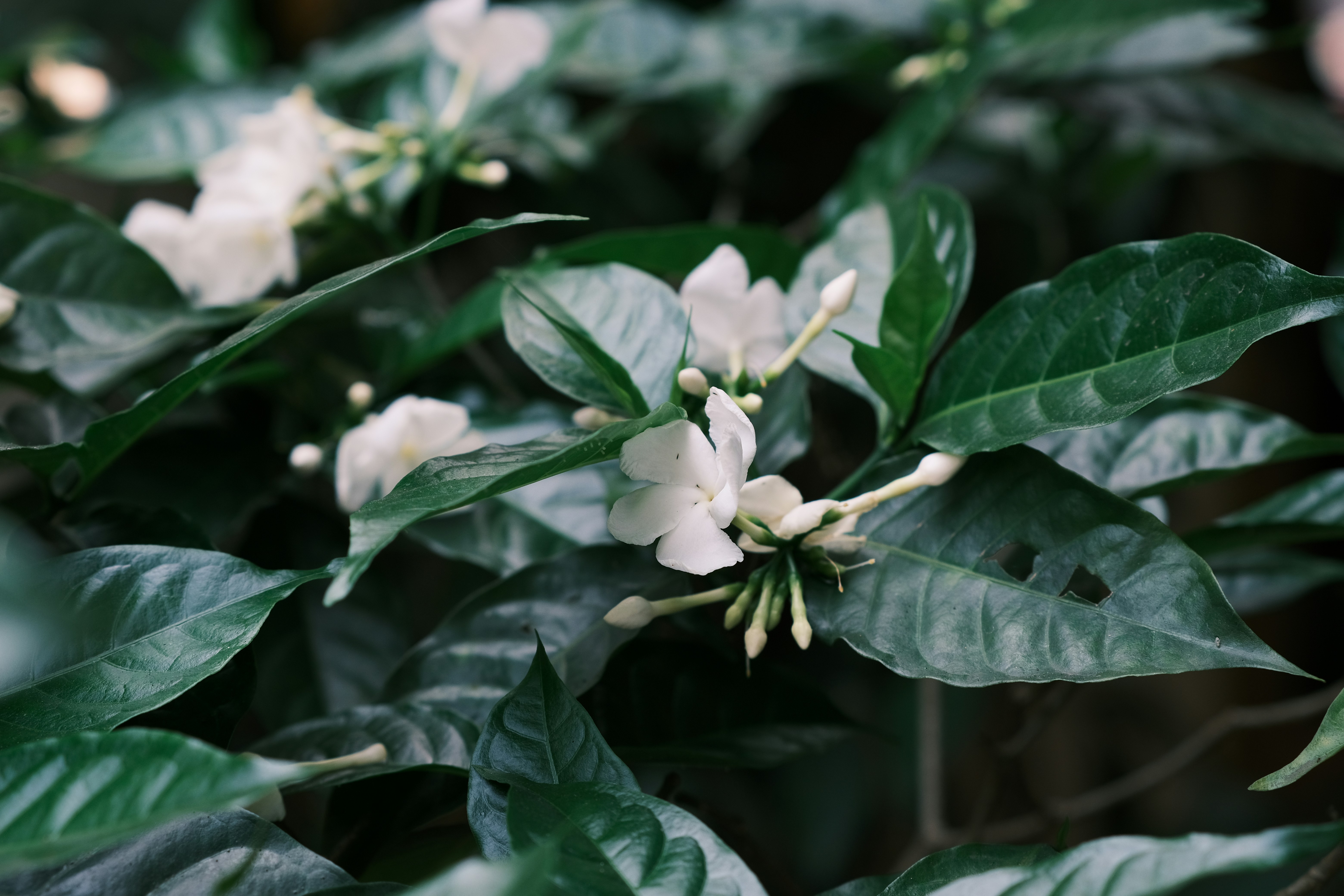 Photo by tutrananh109