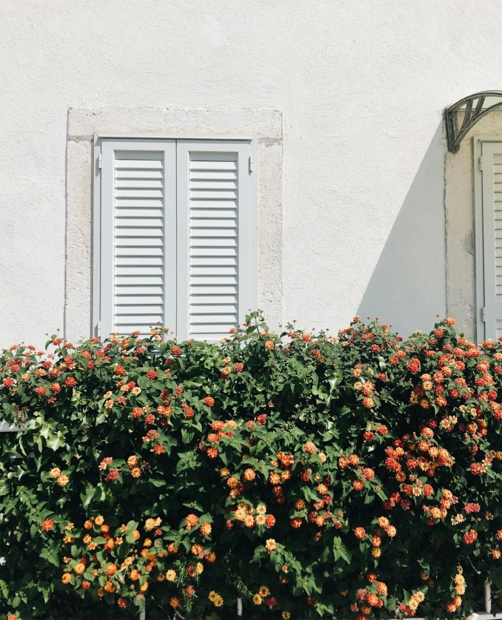 Un bâtiment blanc avec des volets et un buisson de fleurs