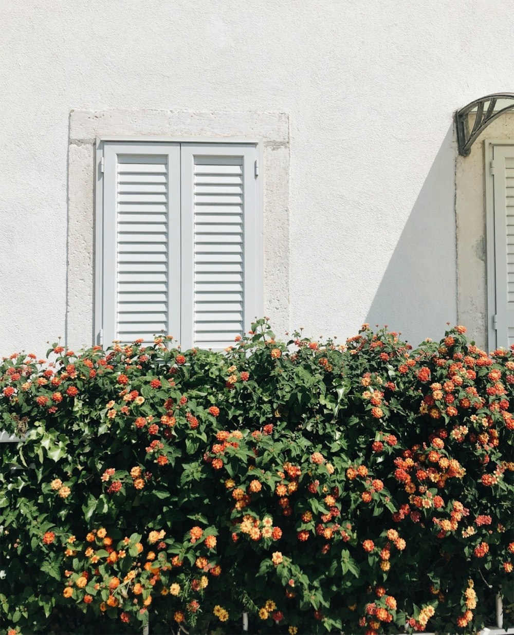 a white building with shutters and a bush of flowers