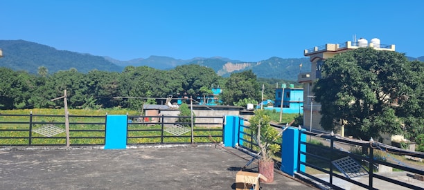 A rooftop with tiles overlooks a lush green landscape with trees and distant hills under a clear blue sky. Buildings with vibrant blue accents and water tanks are visible. A few pigeons are perched along the railing, and there is a potted plant beside an empty chair.