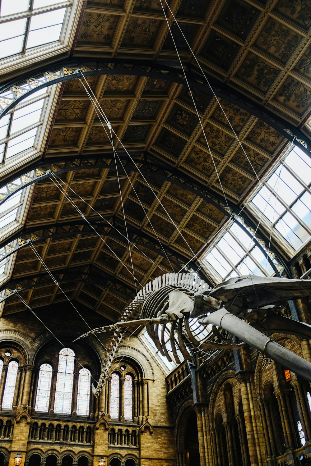 a large animal skeleton hanging from the ceiling of a building